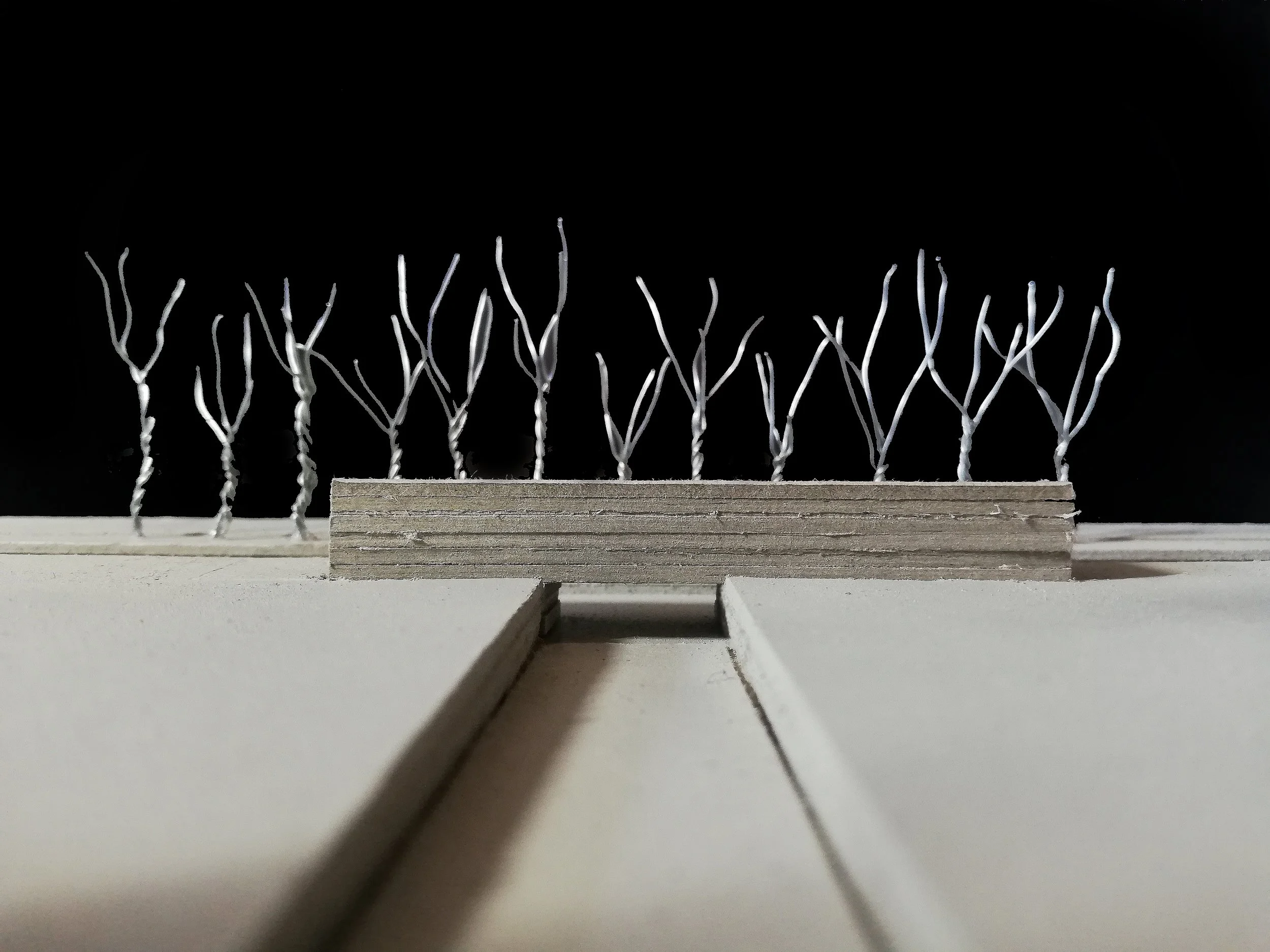 Lina Haase — i.Lab