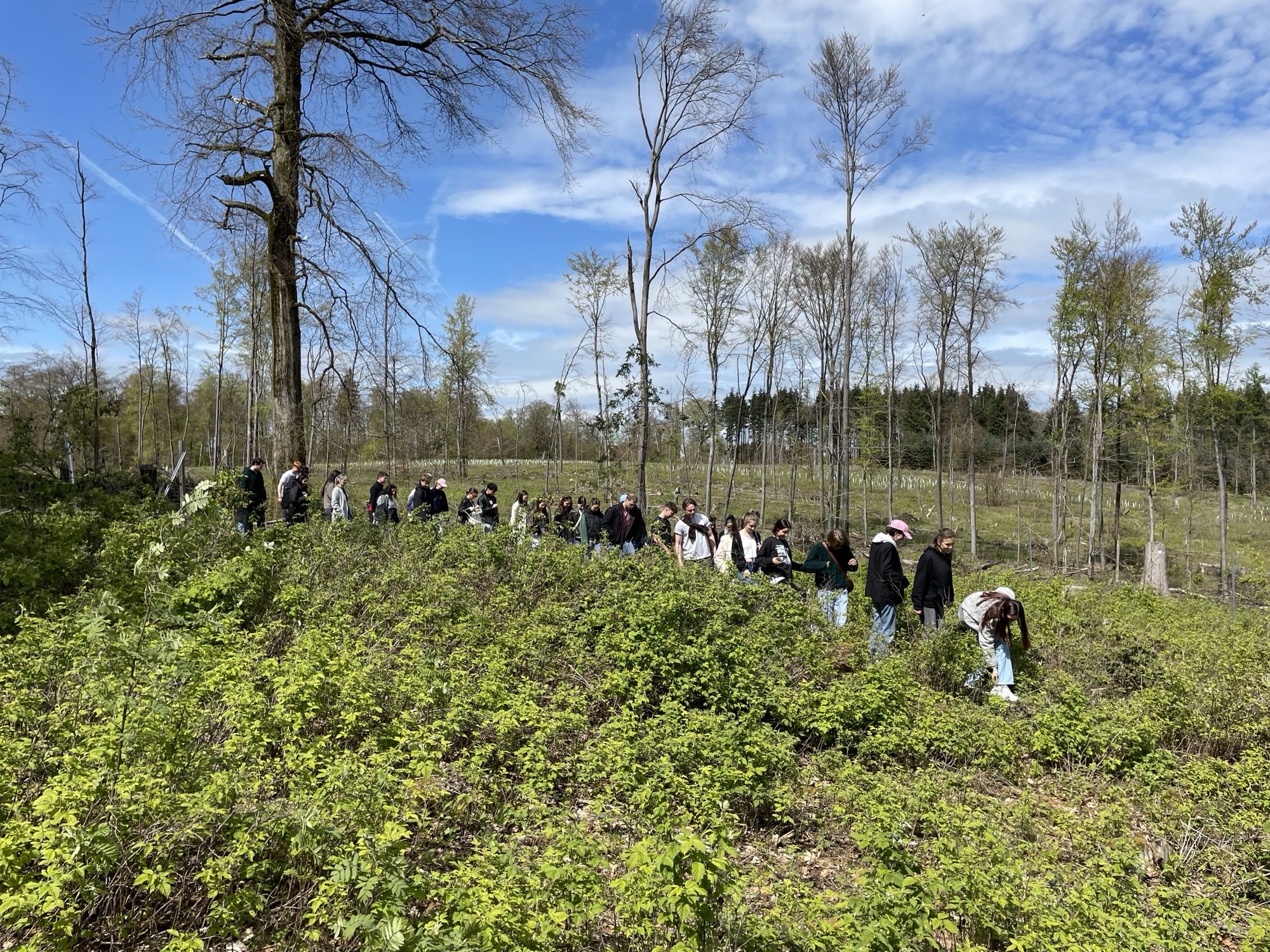Semesterauftakt EK4 im Taunus mit HessenForst