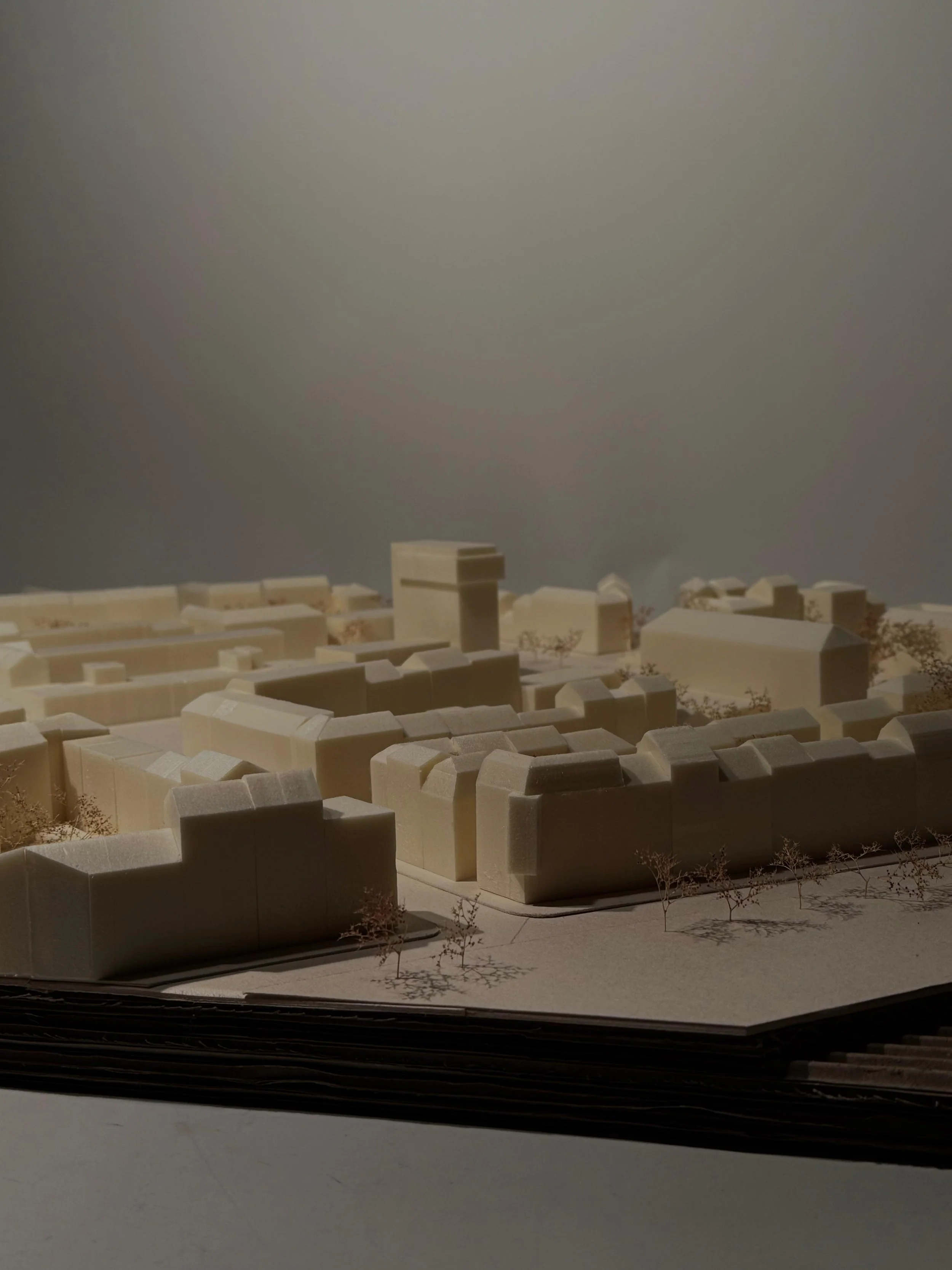 WhatsApp Image 2025-12-12 at 14.47.20.jpeg