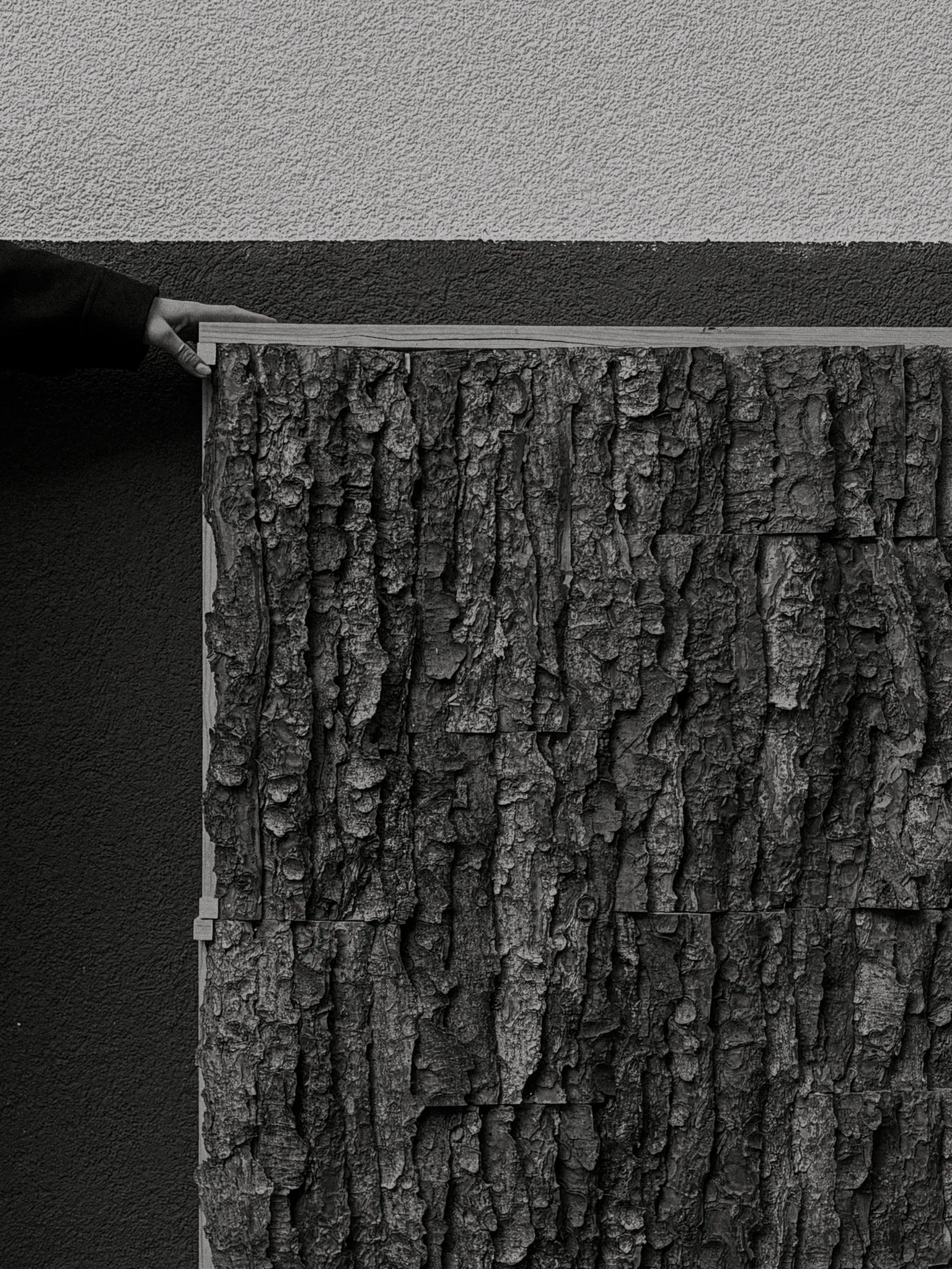 Marie-Christin Dreyer