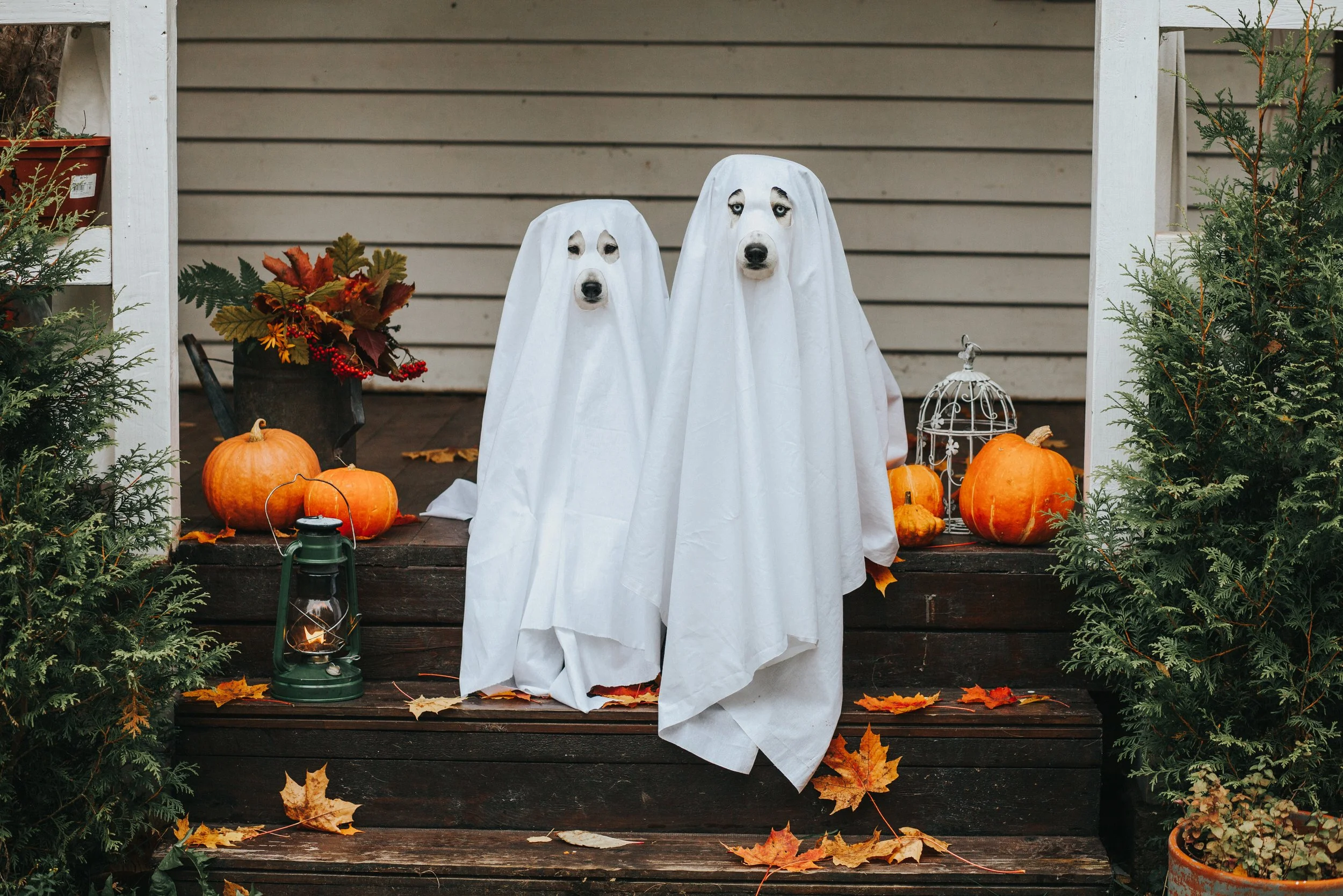 Why Now Is the Time to Win Next Year’s Best Home Improvement Customers