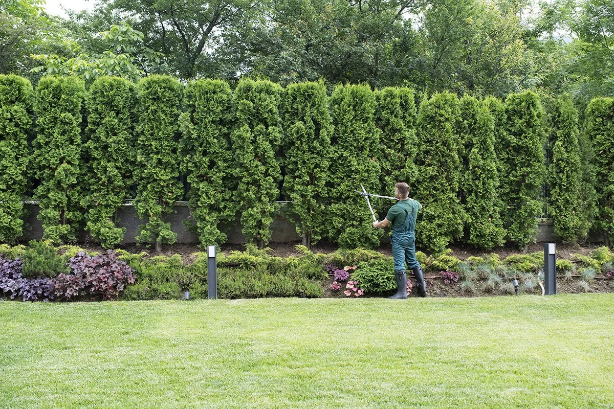 7 Times Hiring a Professional Landscaper Can Protect Your Home's Value