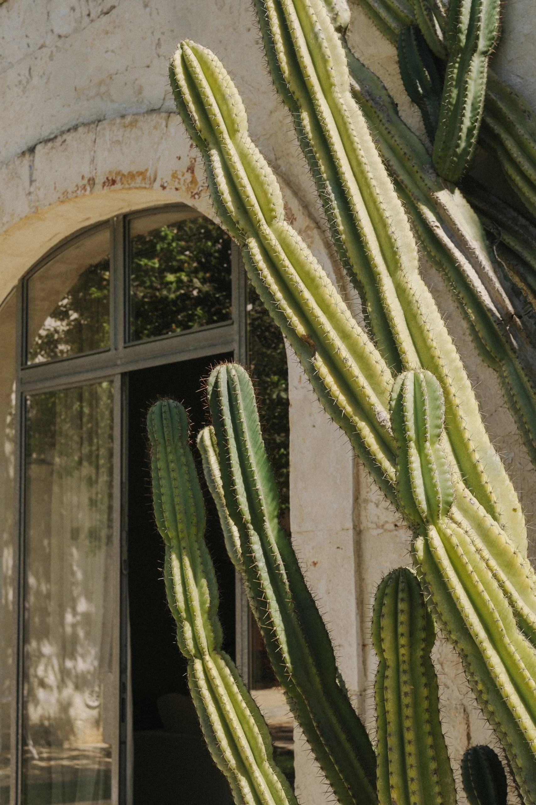 MASSERIA MANGIAMUSO FOR THE THINKING TRAVELLER (Copy)