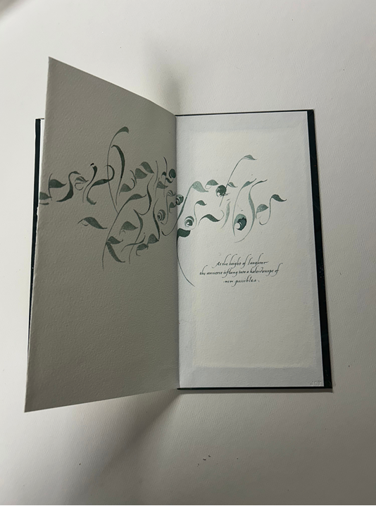 Screenshot 2026-01-20 at 6.05.37 PM.png