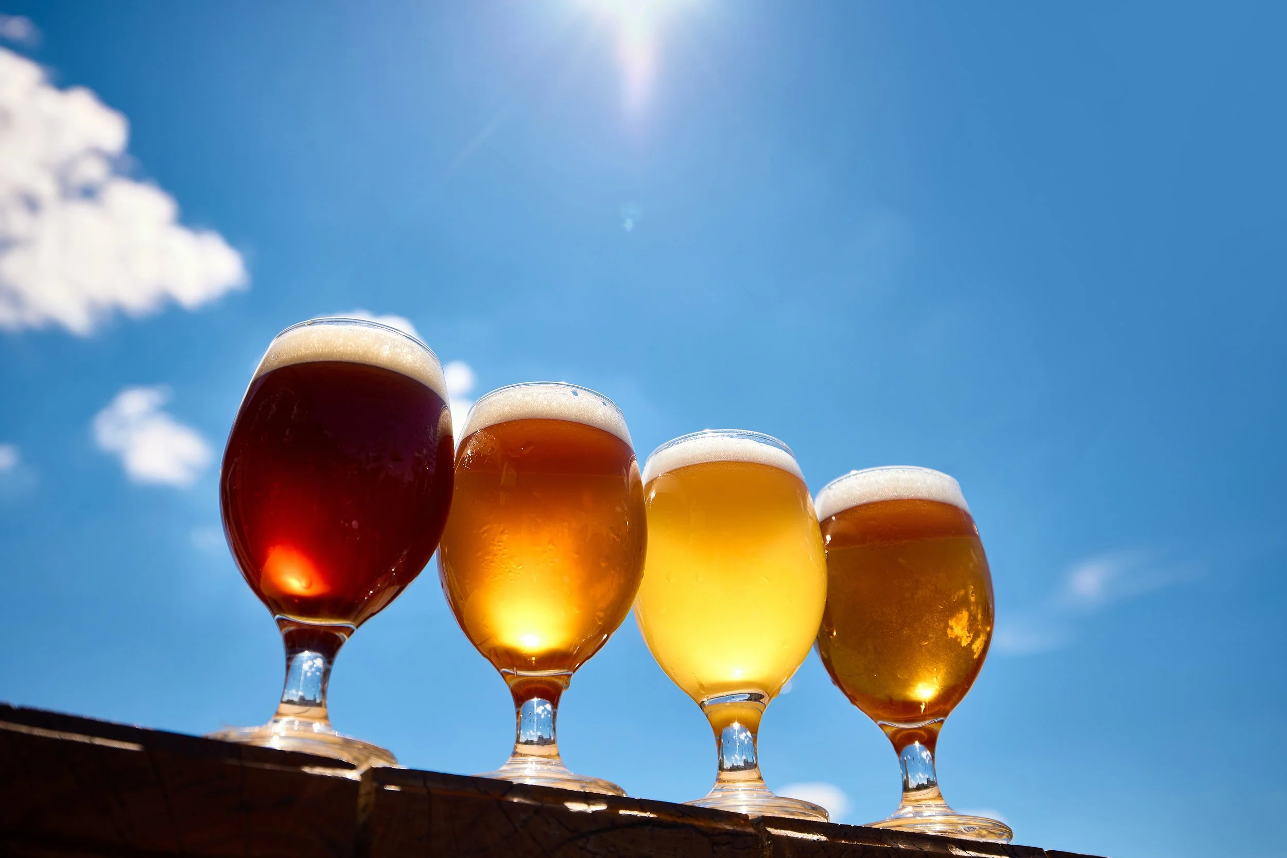 Beer Festival