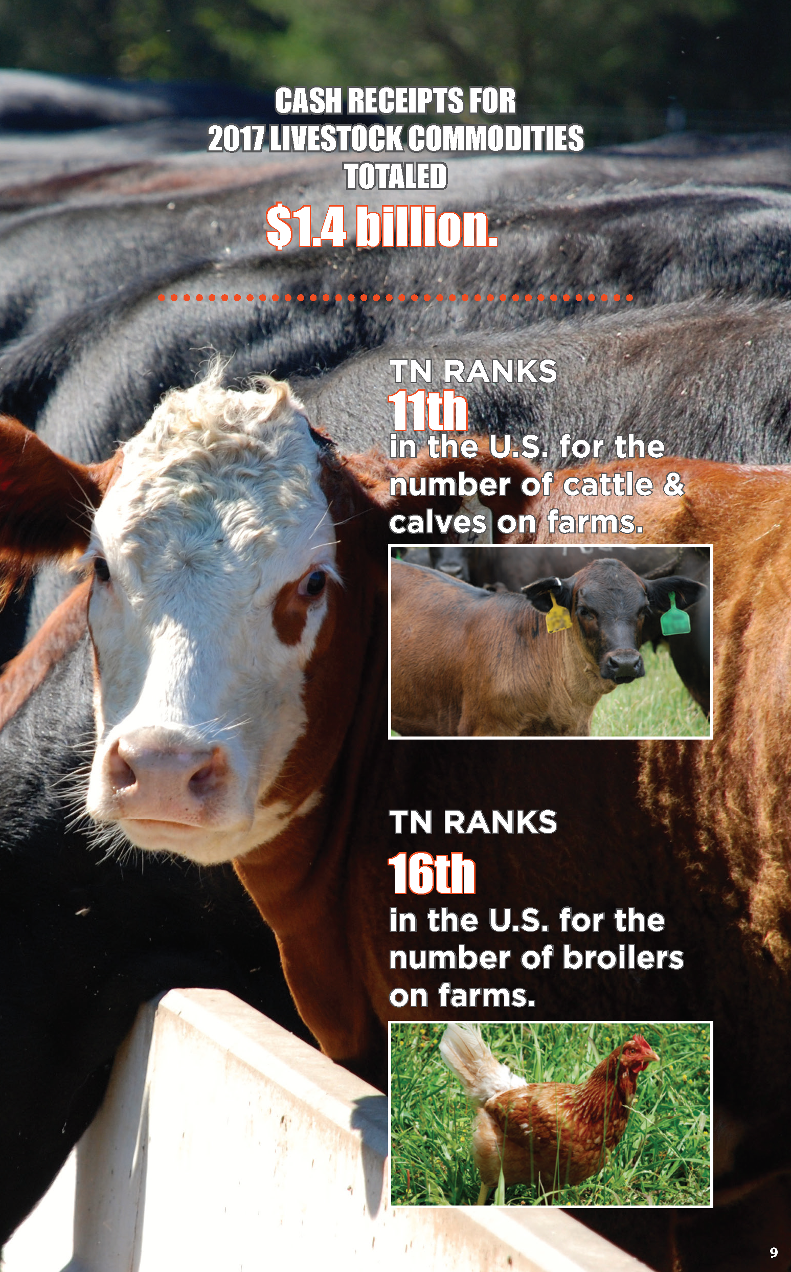 TN_AgStats_2019_Page_09.png