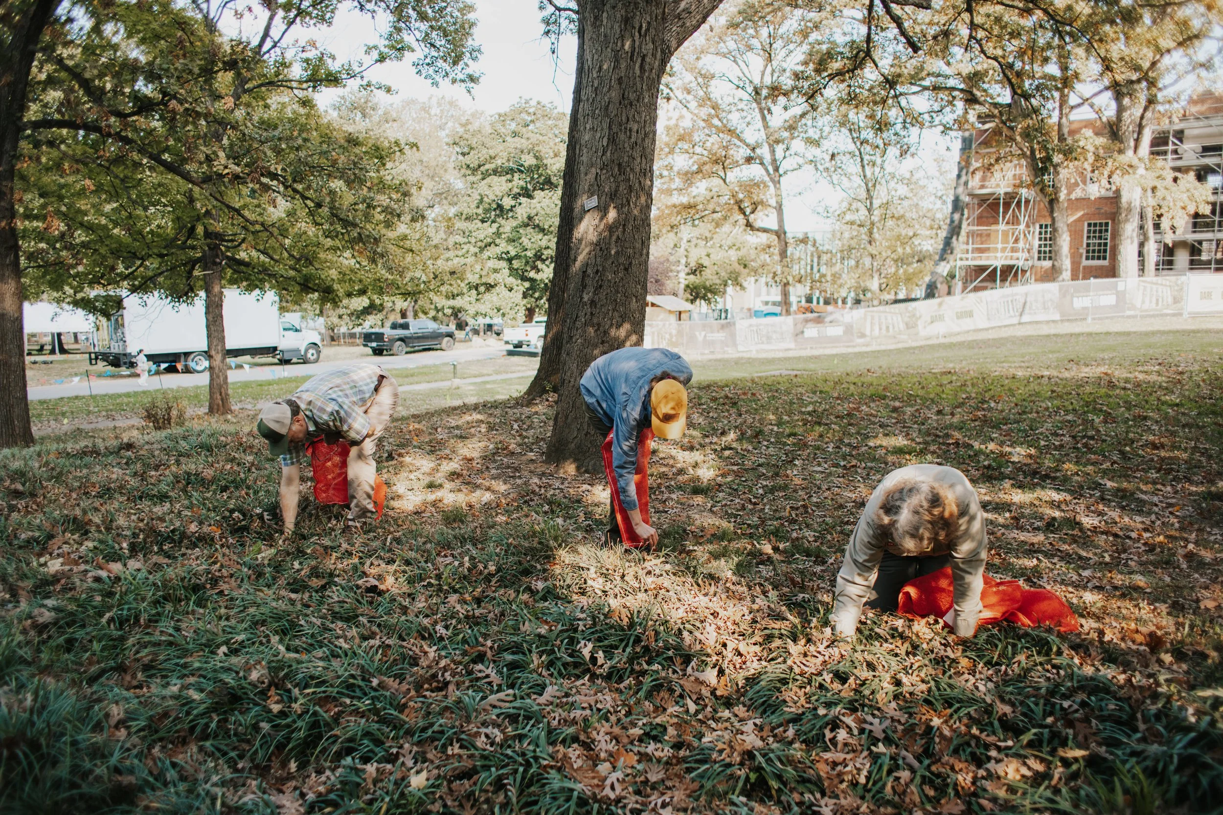 2026 White Oak Acorn Collection Underway Across Tennessee Through November 15