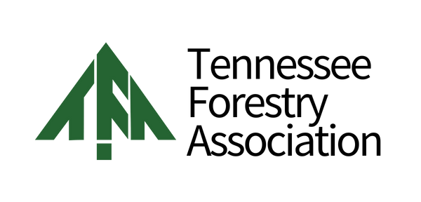 Green stylized tree with the word 'CAMP' in black capital letters next to it.