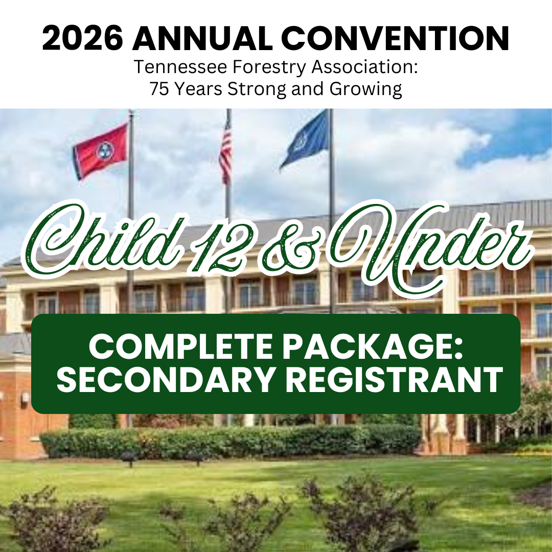 Children Package 12 and Under