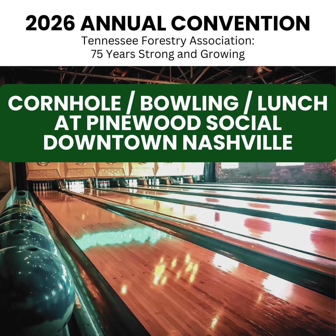 Cornhole, Bowling, and Lunch: Pinewood Social