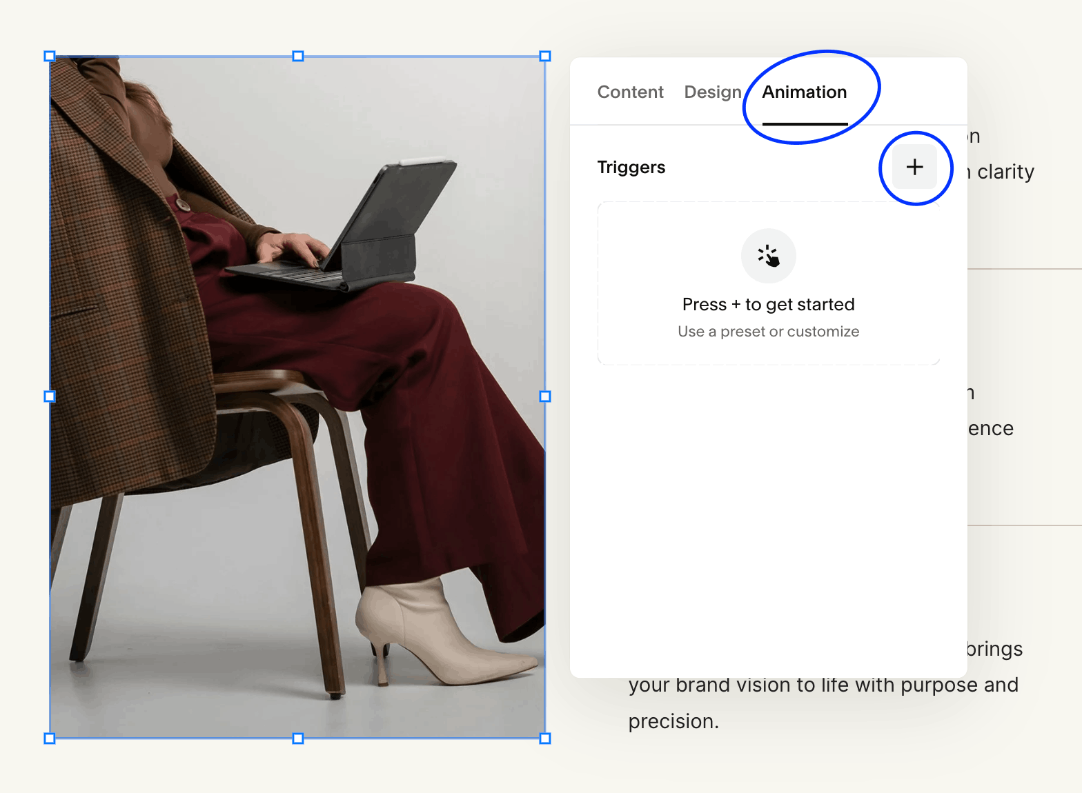 Squarespace Feature: where to find animations tab