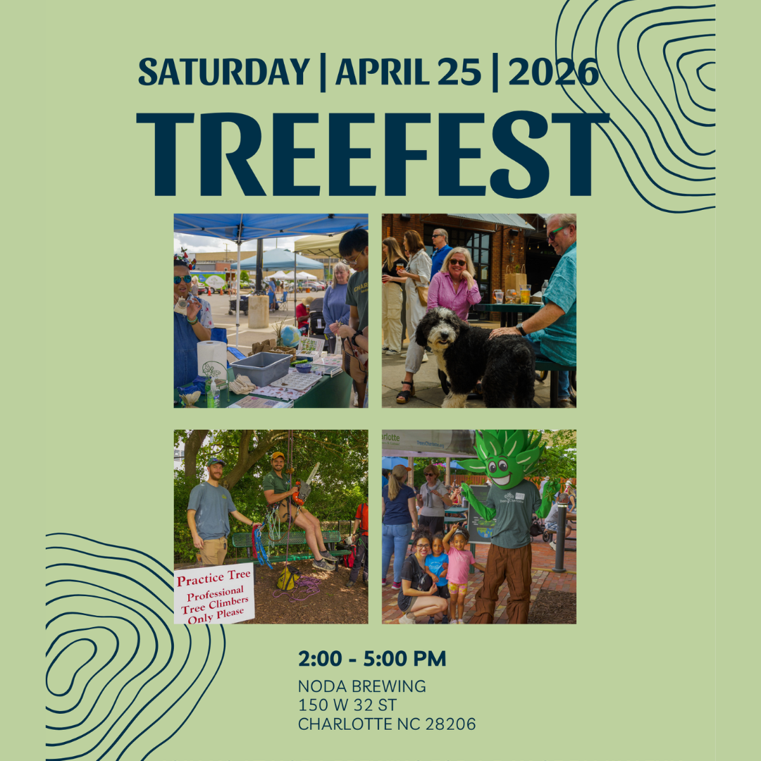 Community Event: TreeFest