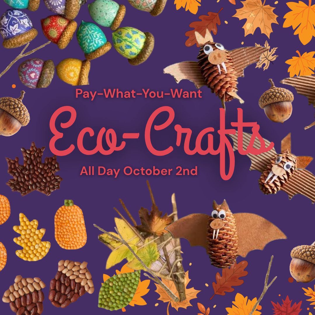 Pay-What-You-Want Eco-Crafts