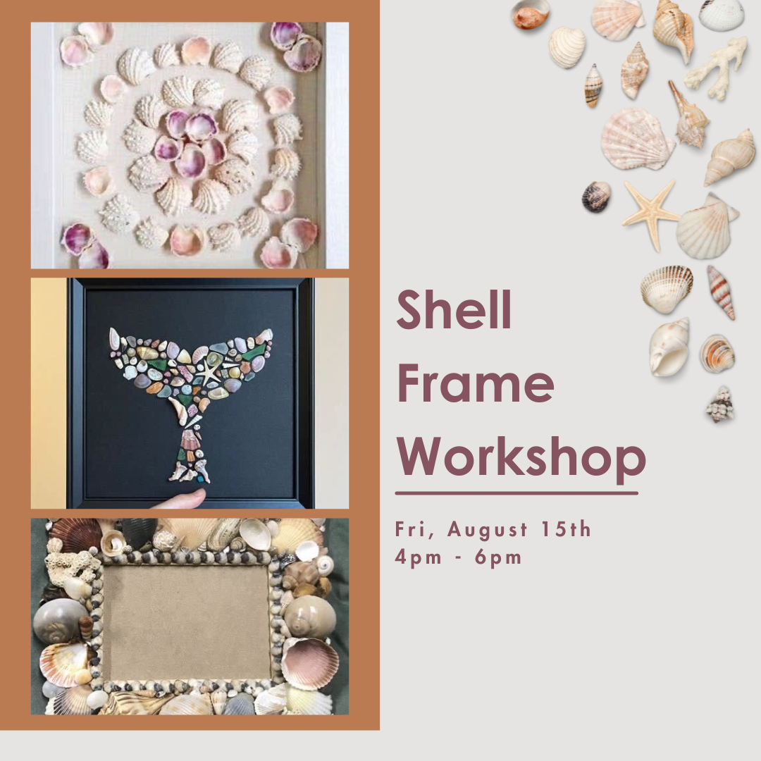 shell frame.png