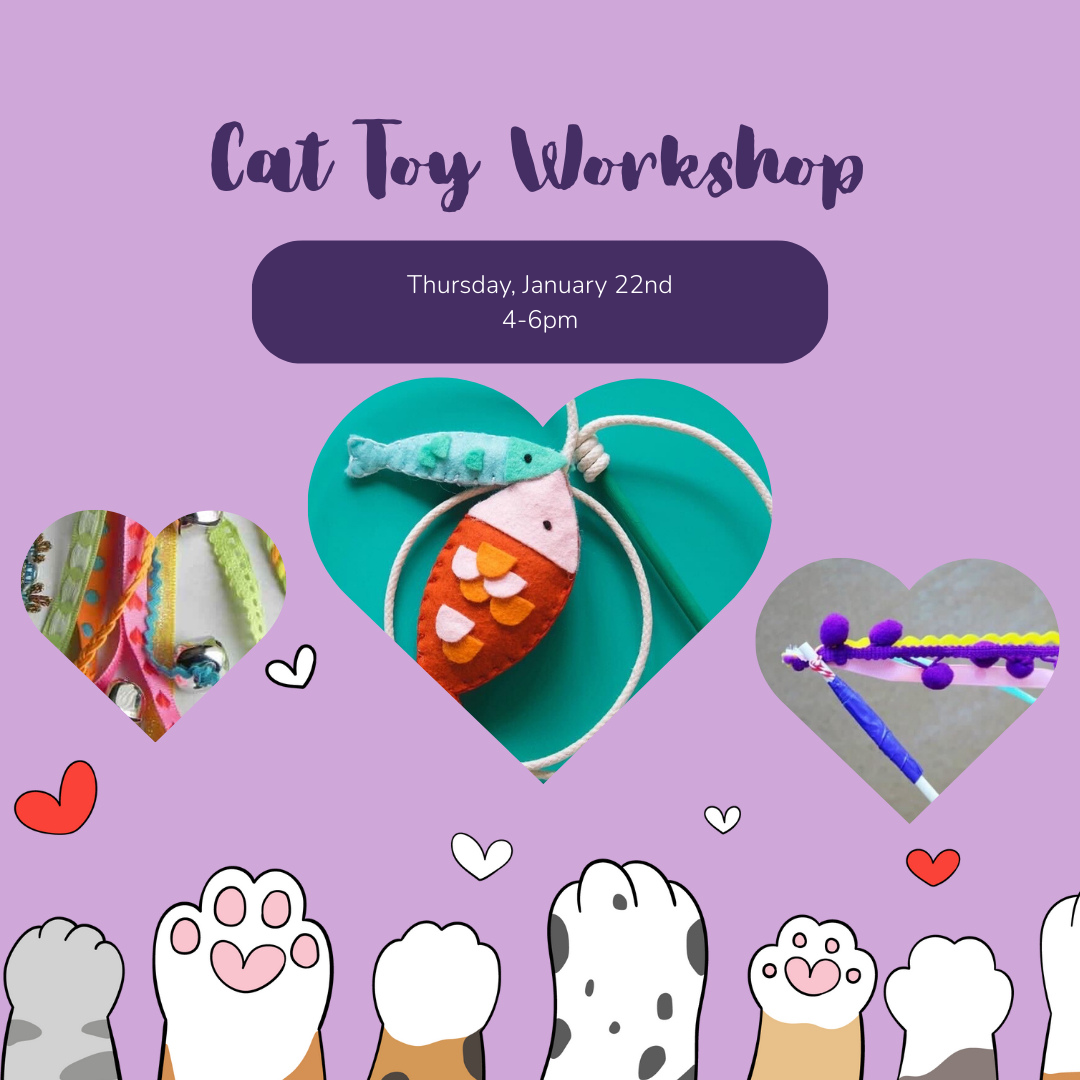 Cat Toy Workshop