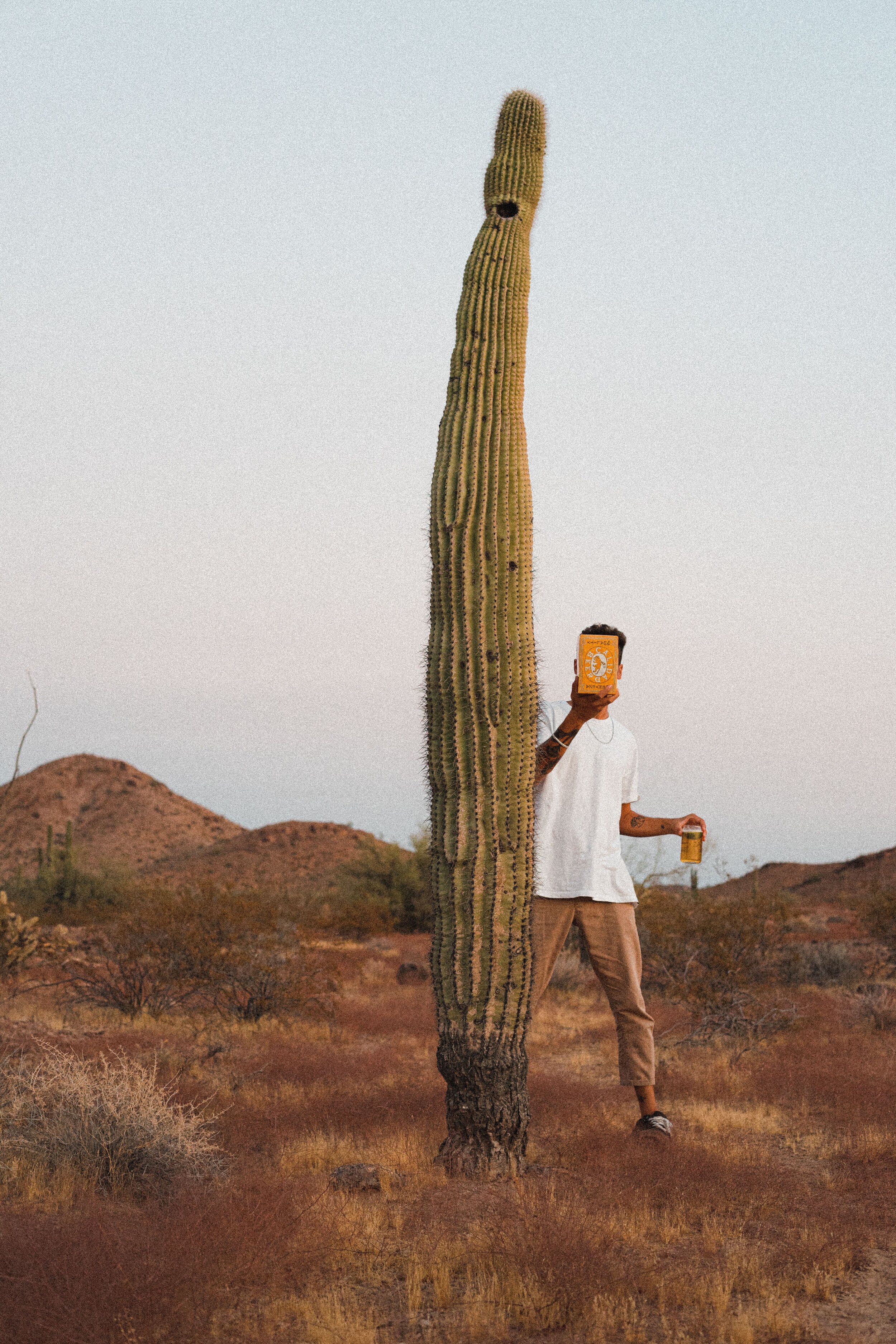 Arizona - October 2020