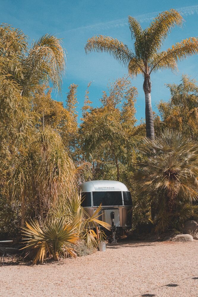 Ojai - March 2021