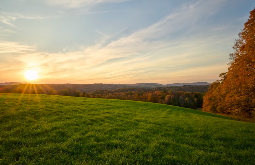 green grassy field overlooking the mountains and sunset