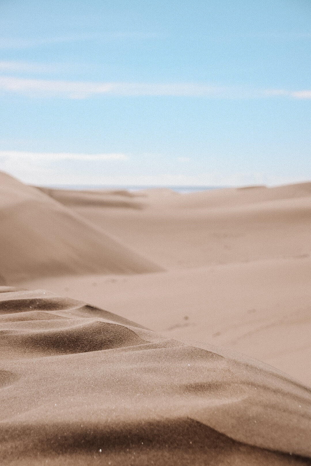 Sanddünen von Las Palmas