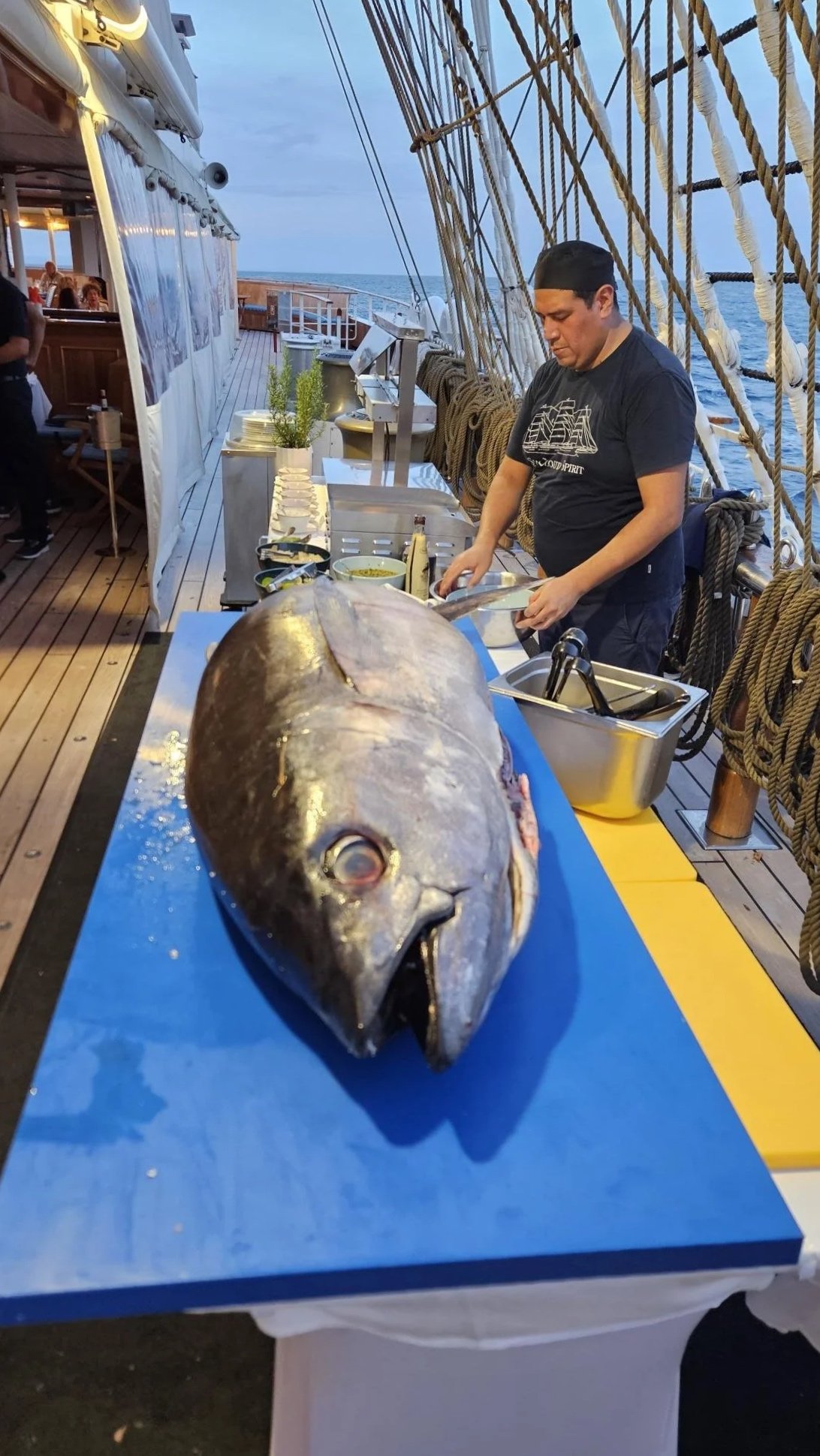 Big Fish Dinner ©Bettina Schröder