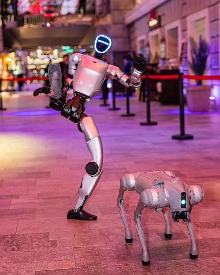 KI-gesteuerte Robotershow an Bord von MSC Cruises
