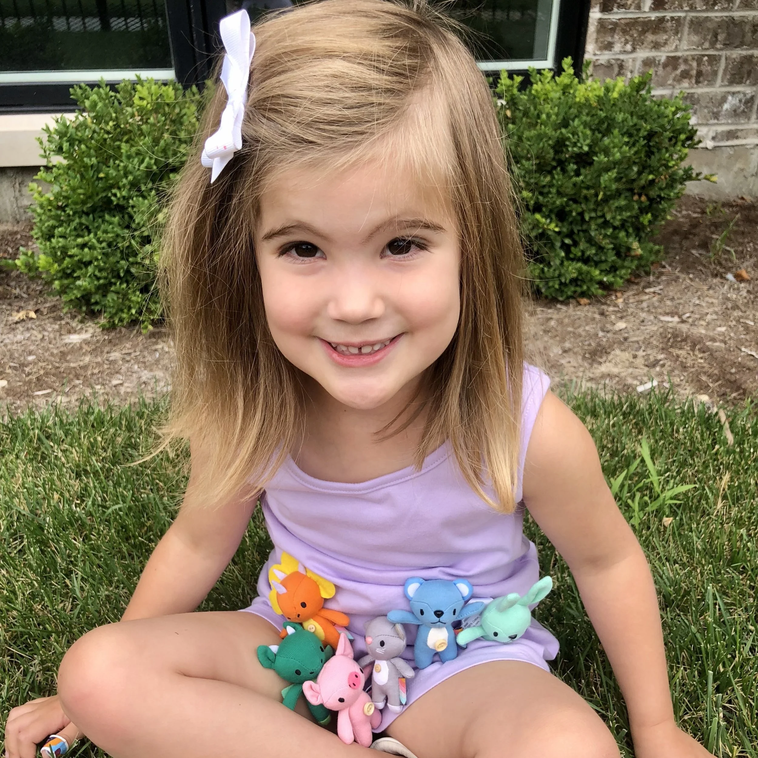 A Collection Of Mini Stuffed Animals Pockimals The Best Gifts For a-collection-of-mini-stuffed-animals-pockimals-the-best-gifts-for