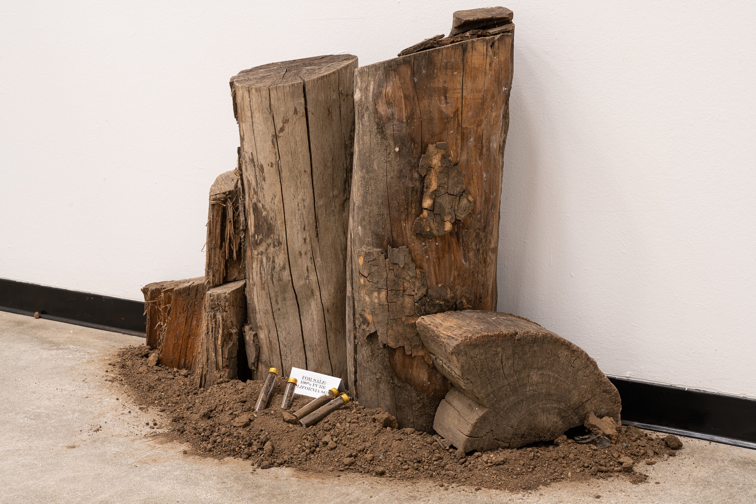 Detail of "The Eagle Tree is a Witness."