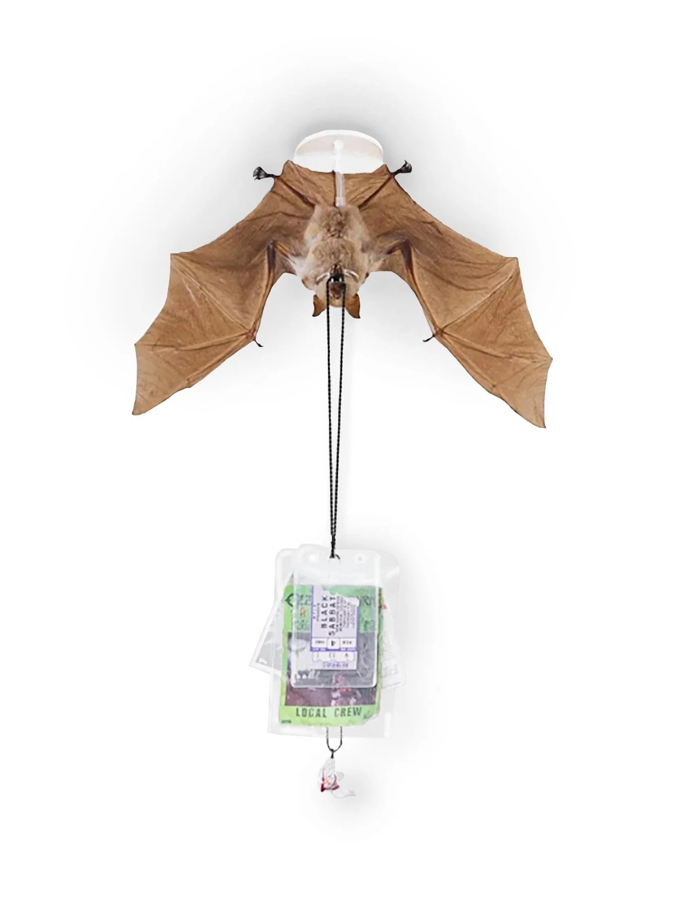 IntotheVoidFrontView copy.jpg