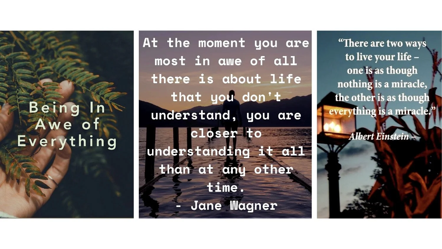 First-Foundation-of-Mindfulness-9.jpg