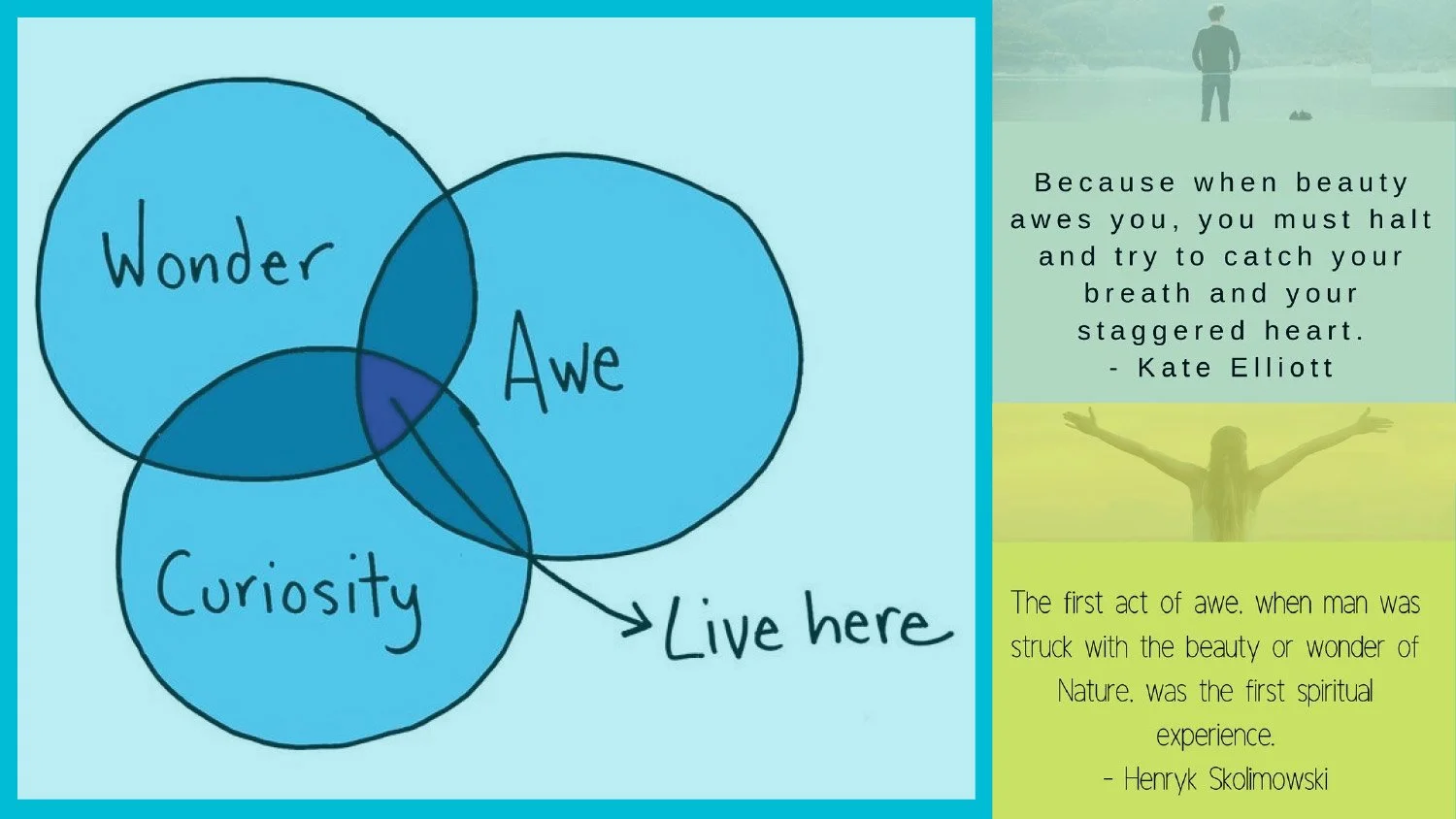 First-Foundation-of-Mindfulness-11.jpg