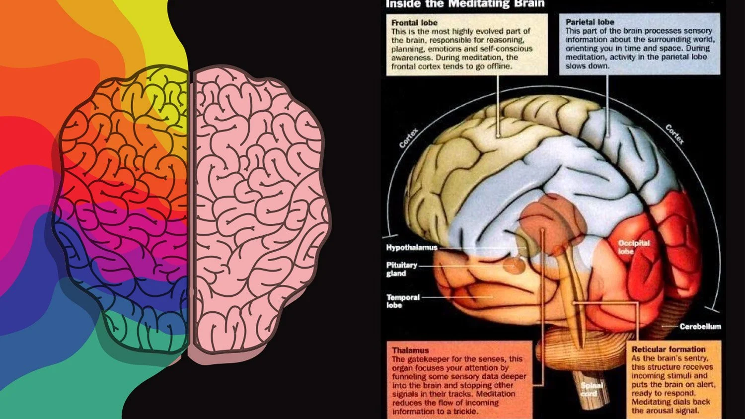 First-Foundation-of-Mindfulness-26.jpg