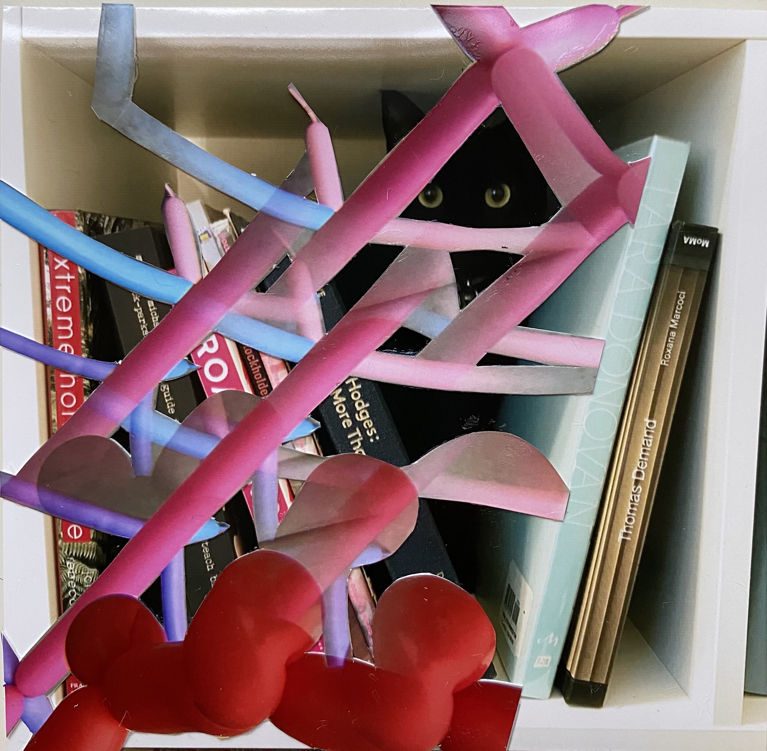bookshelf and balloons
