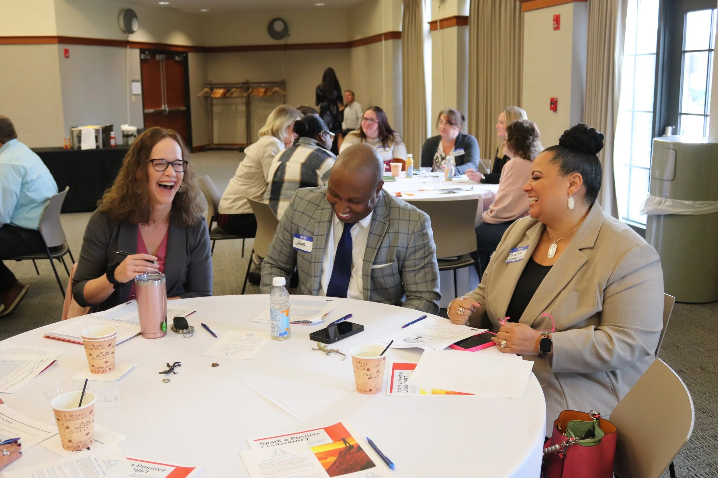 The Power of High Performance Coaching