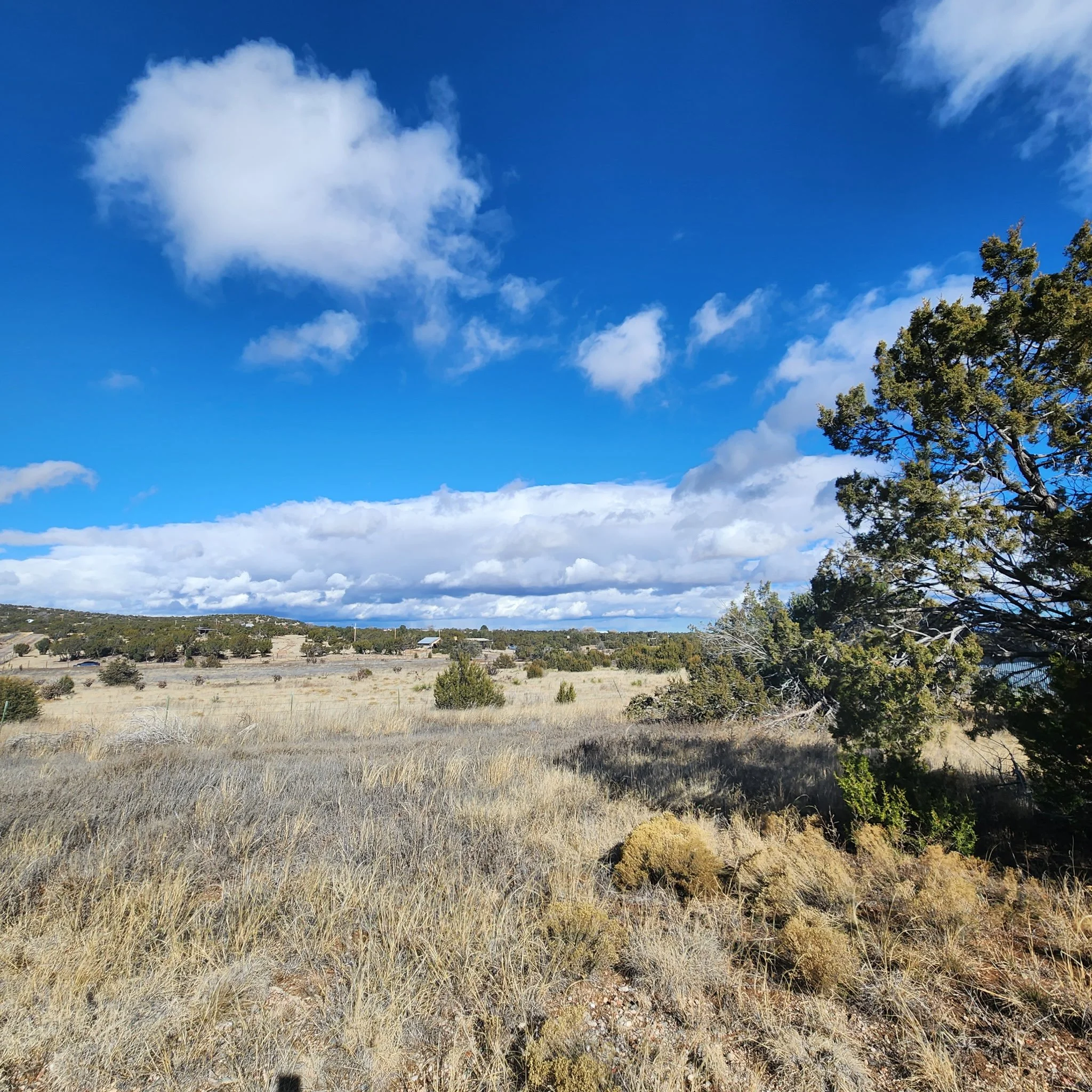 170 Indian Hills Road-Land