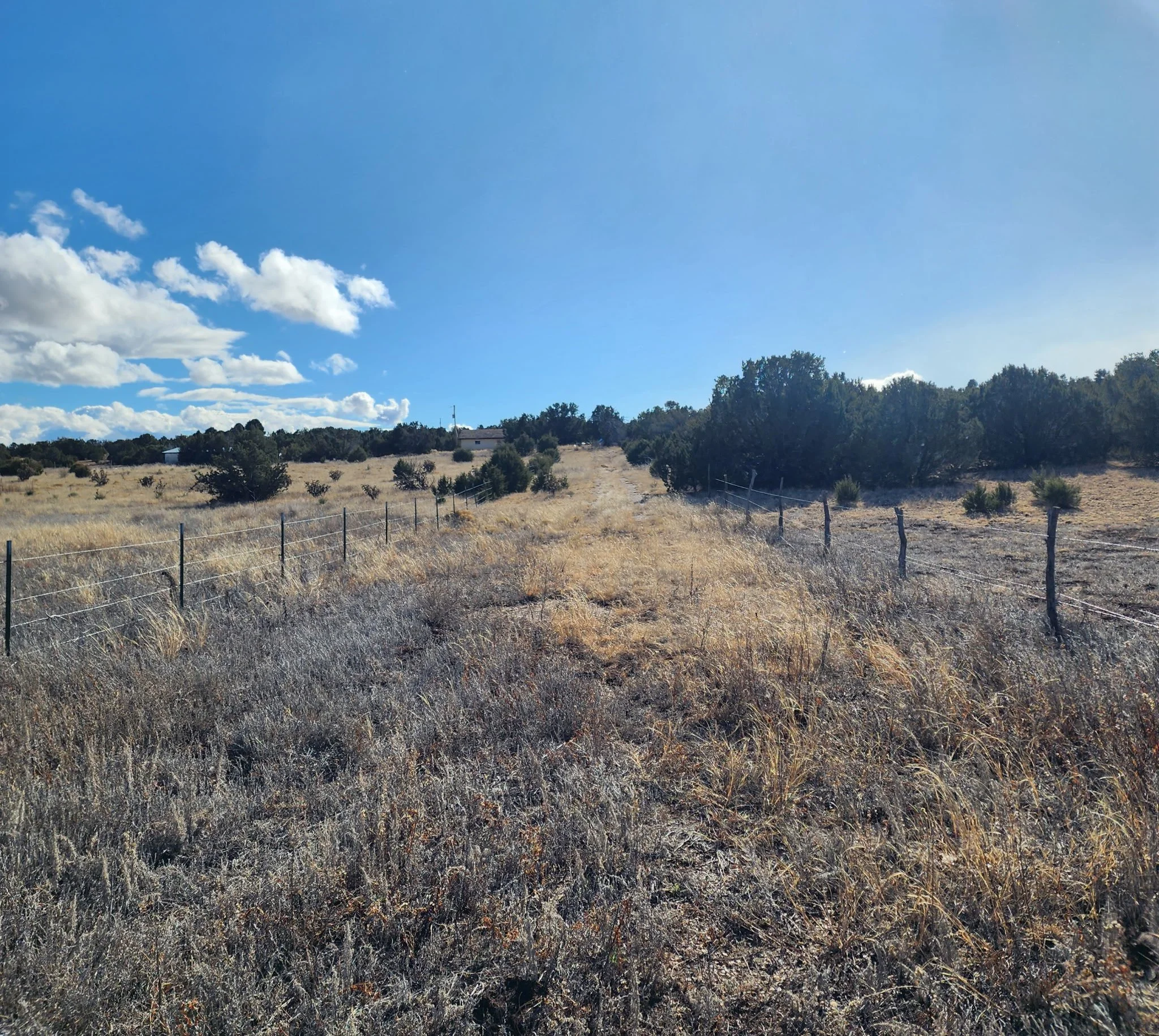 170 Indian Hills Road-Land