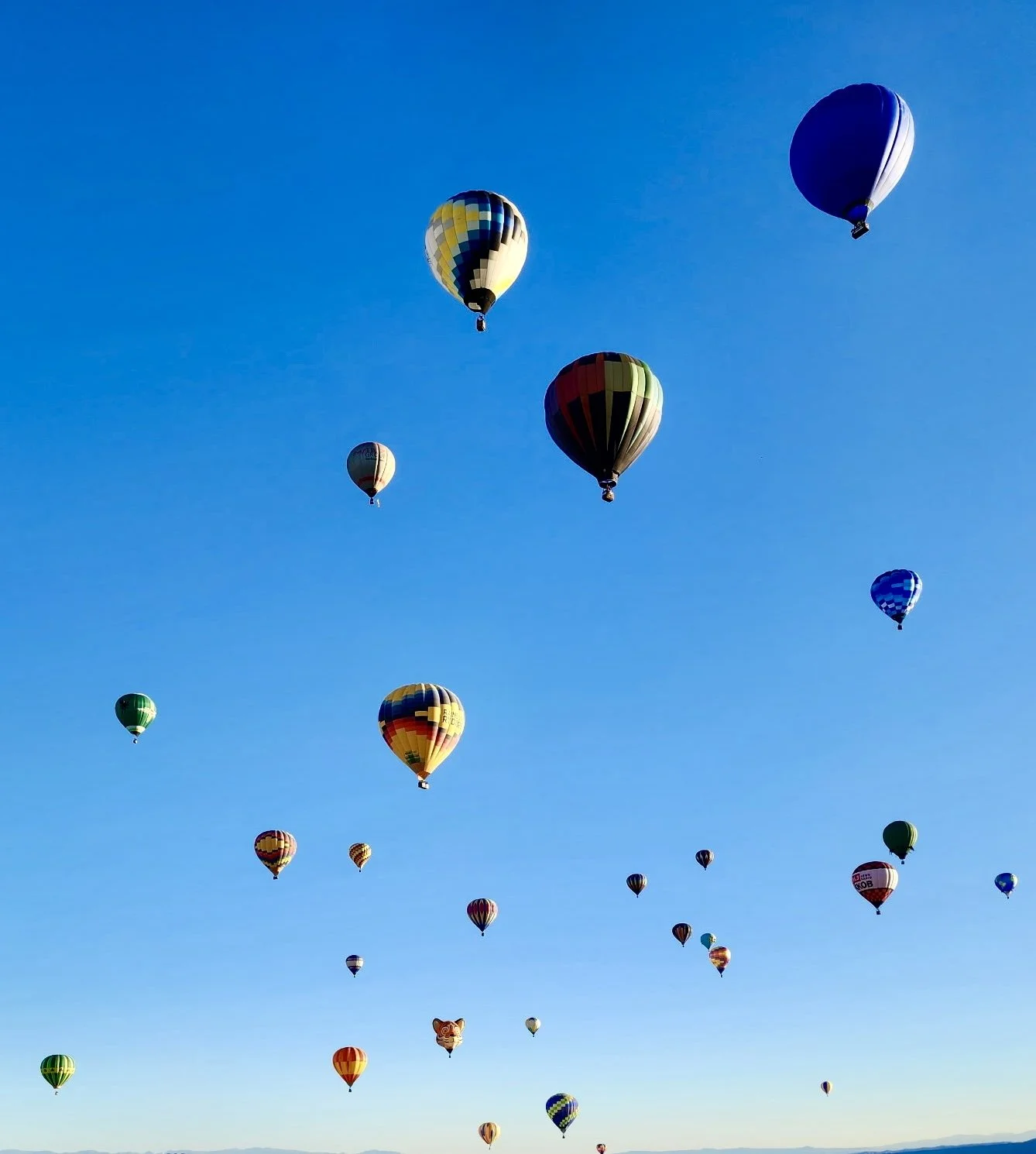 Hot Air Balloons in Albuquerque, New Mexico