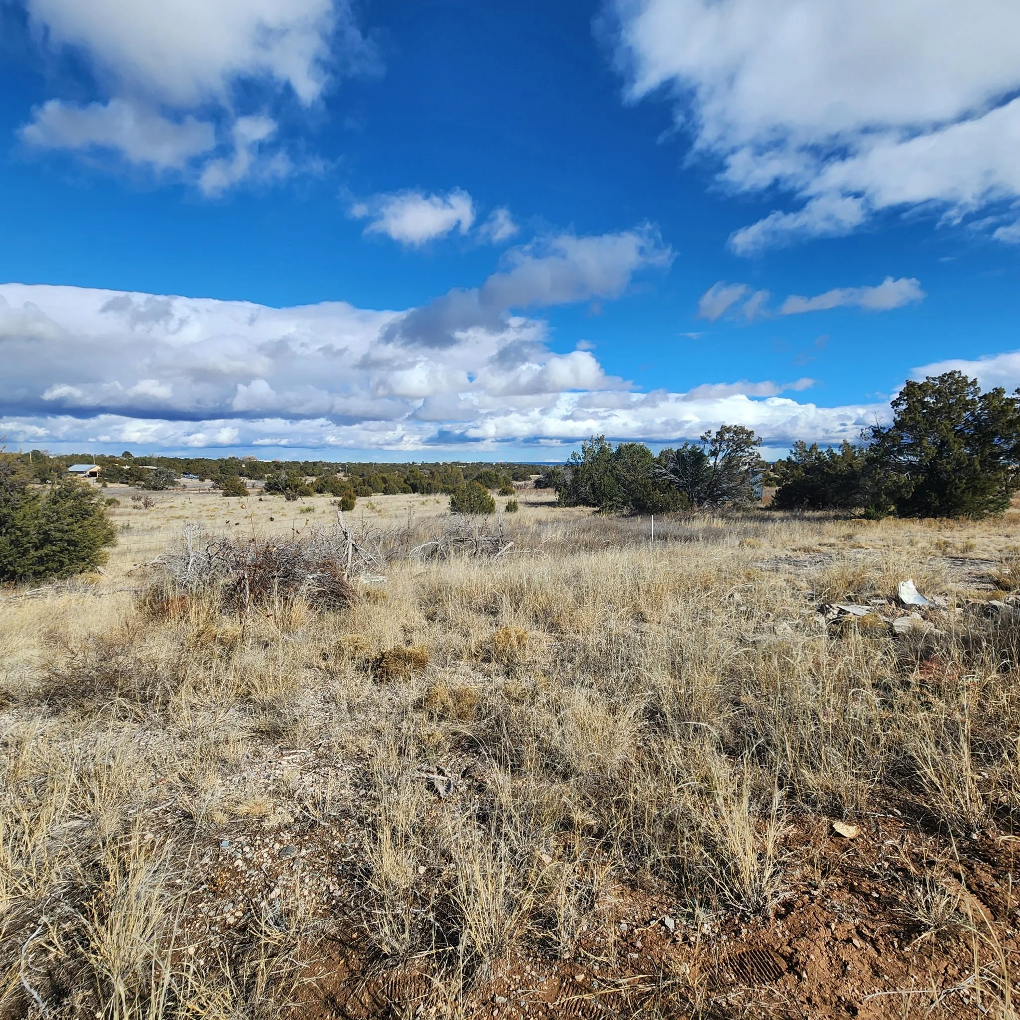 170 Indian Hills Road-Land