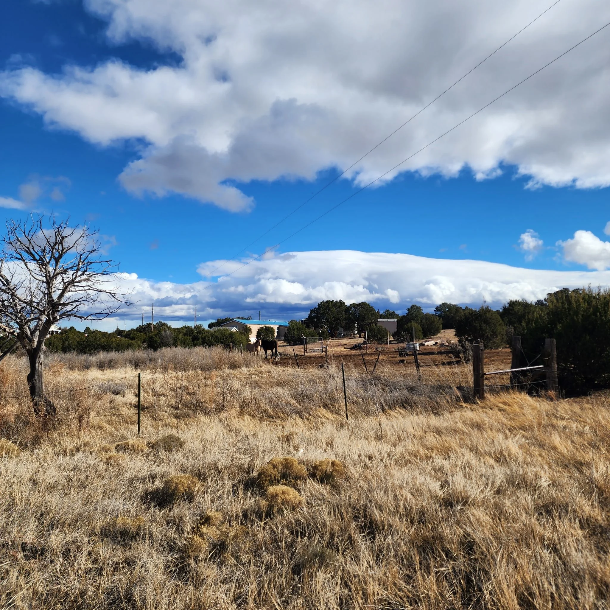 170 Indian Hills Road-Land