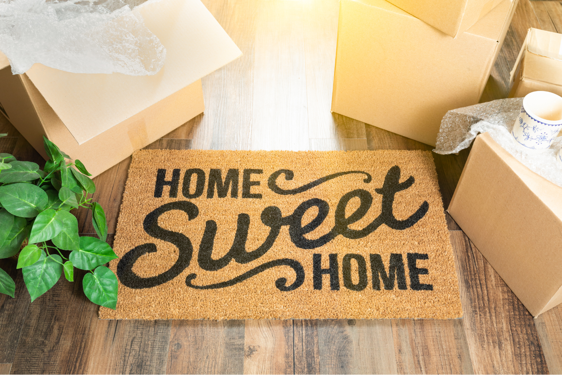 Home Sweet Home welcome mat with moving boxes and plant