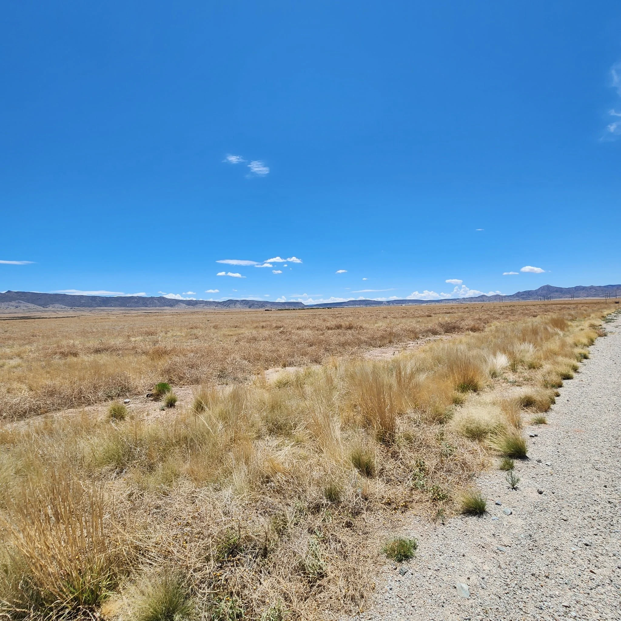 Tierra Grande Loop 21-Land