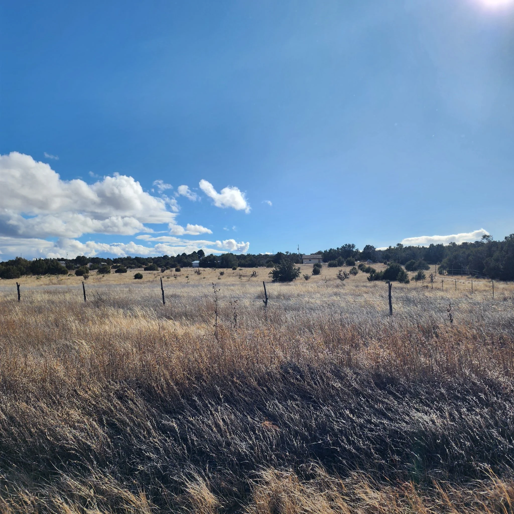 170 Indian Hills Road-Land