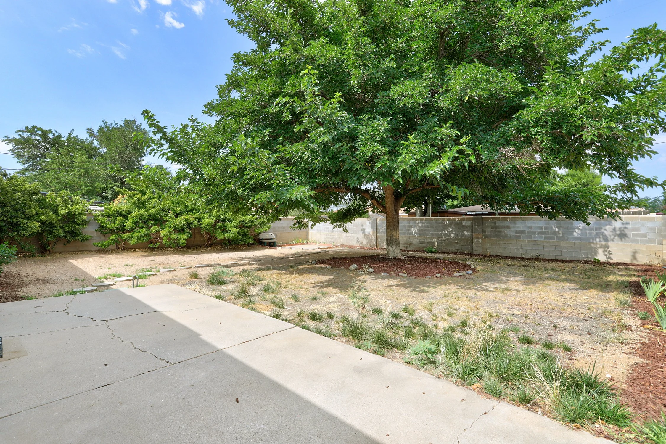 1317 Parsifal Street NE-Backyard