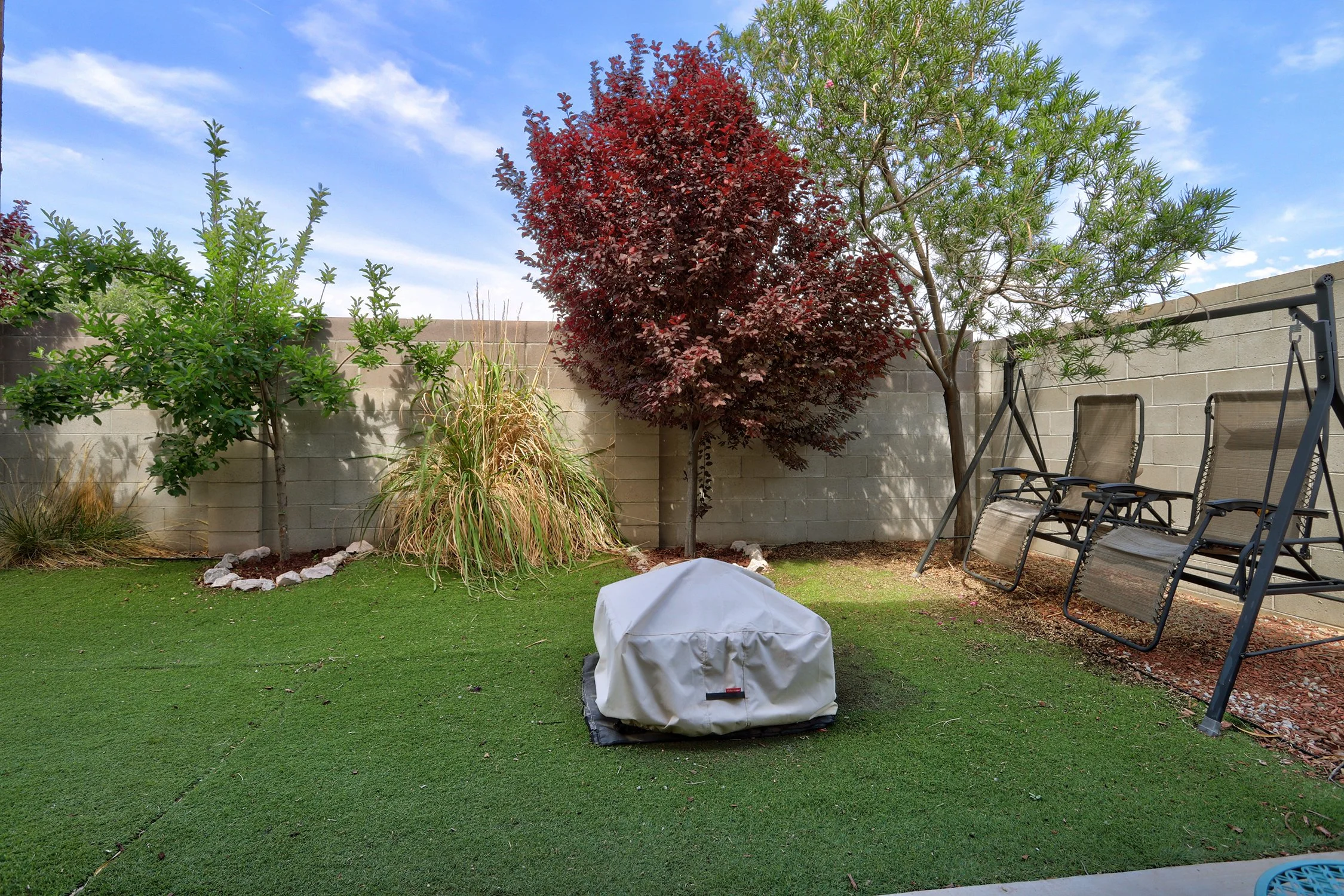 469 Brandon Court SW-Backyard