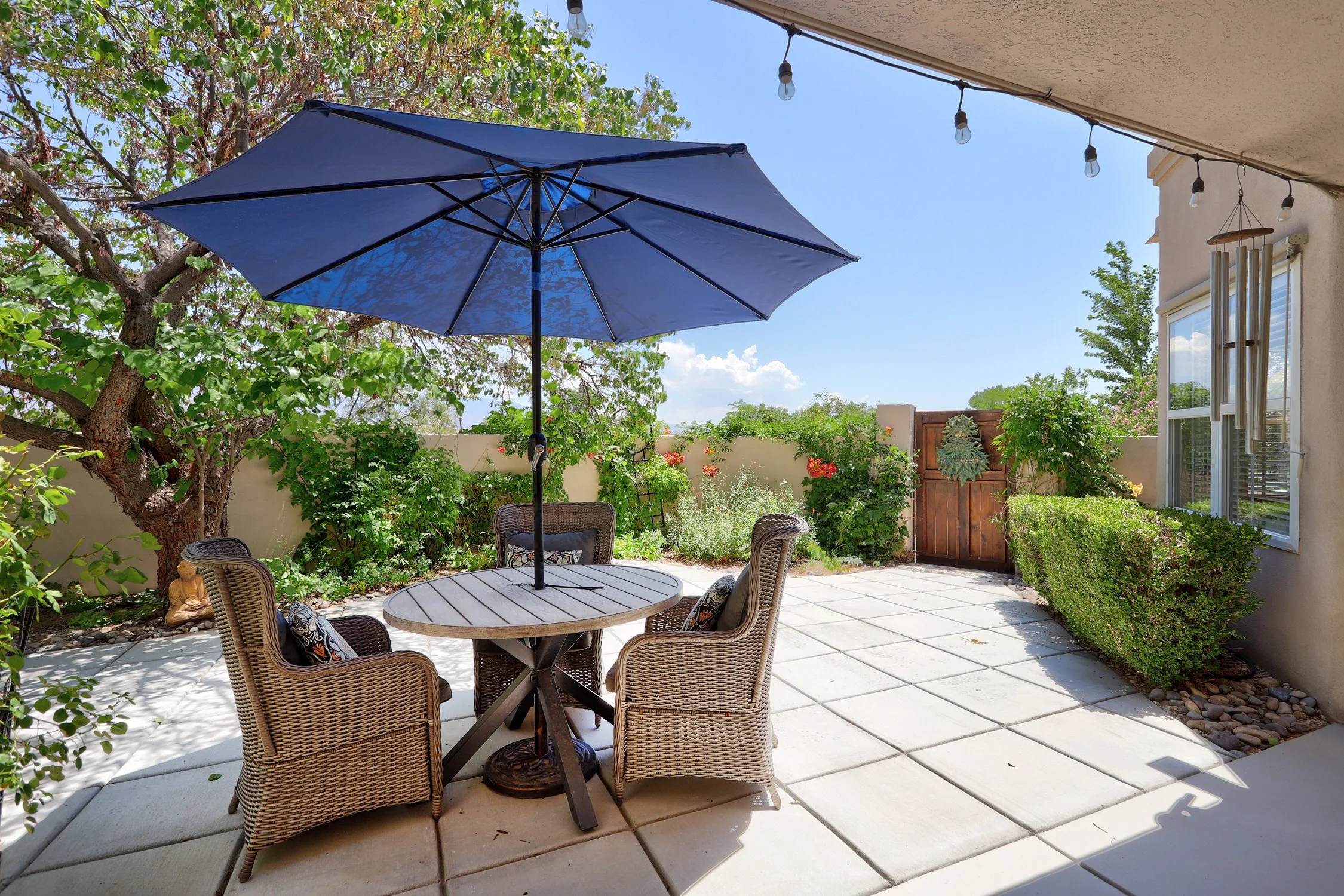 168 Camino Rayo Del Sol-Backyard
