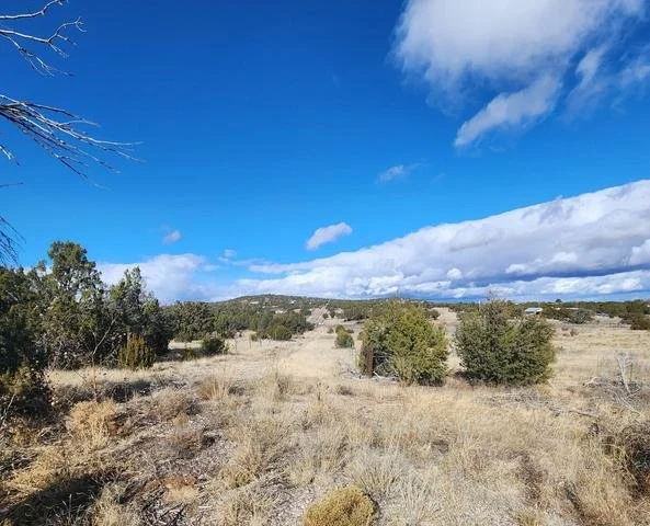 4.18 Acre Scenic Land in Moriarty, New Mexico