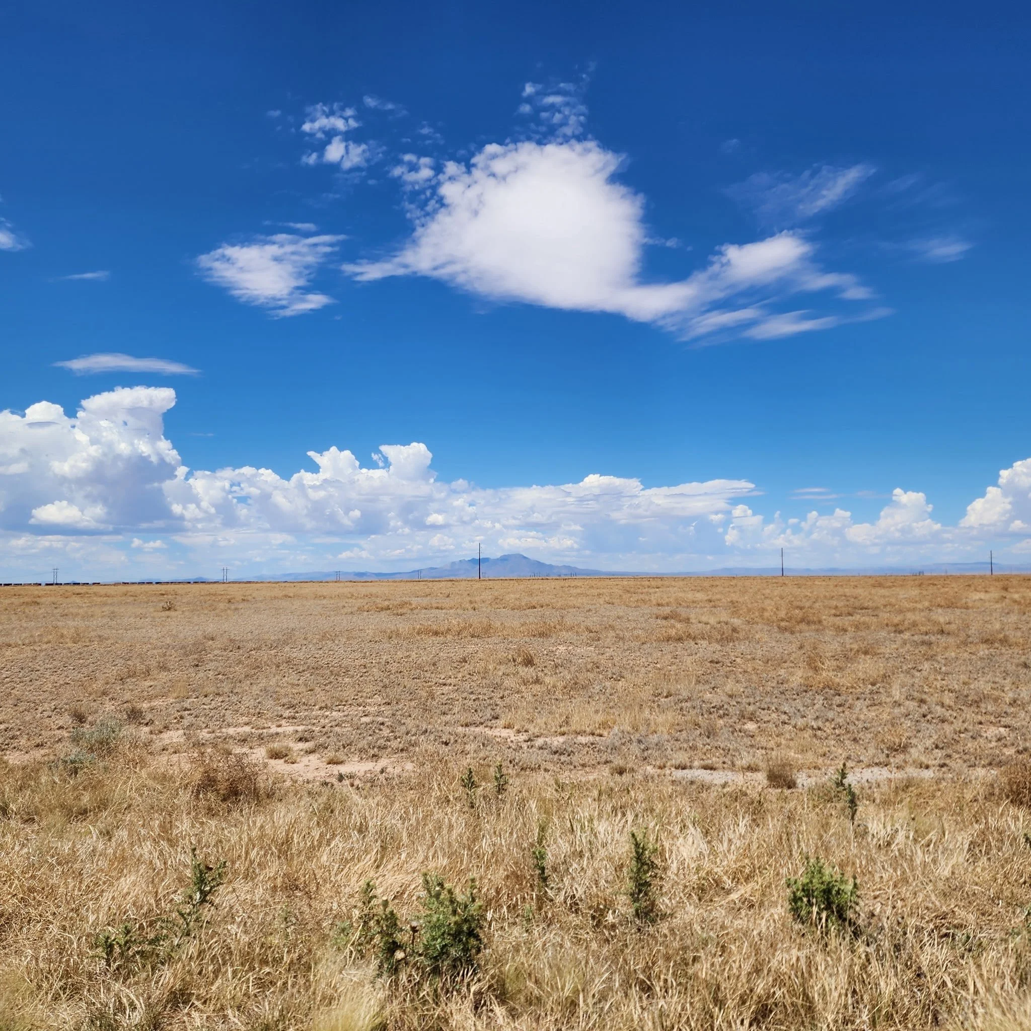 Tierra Grande Loop 21-Land