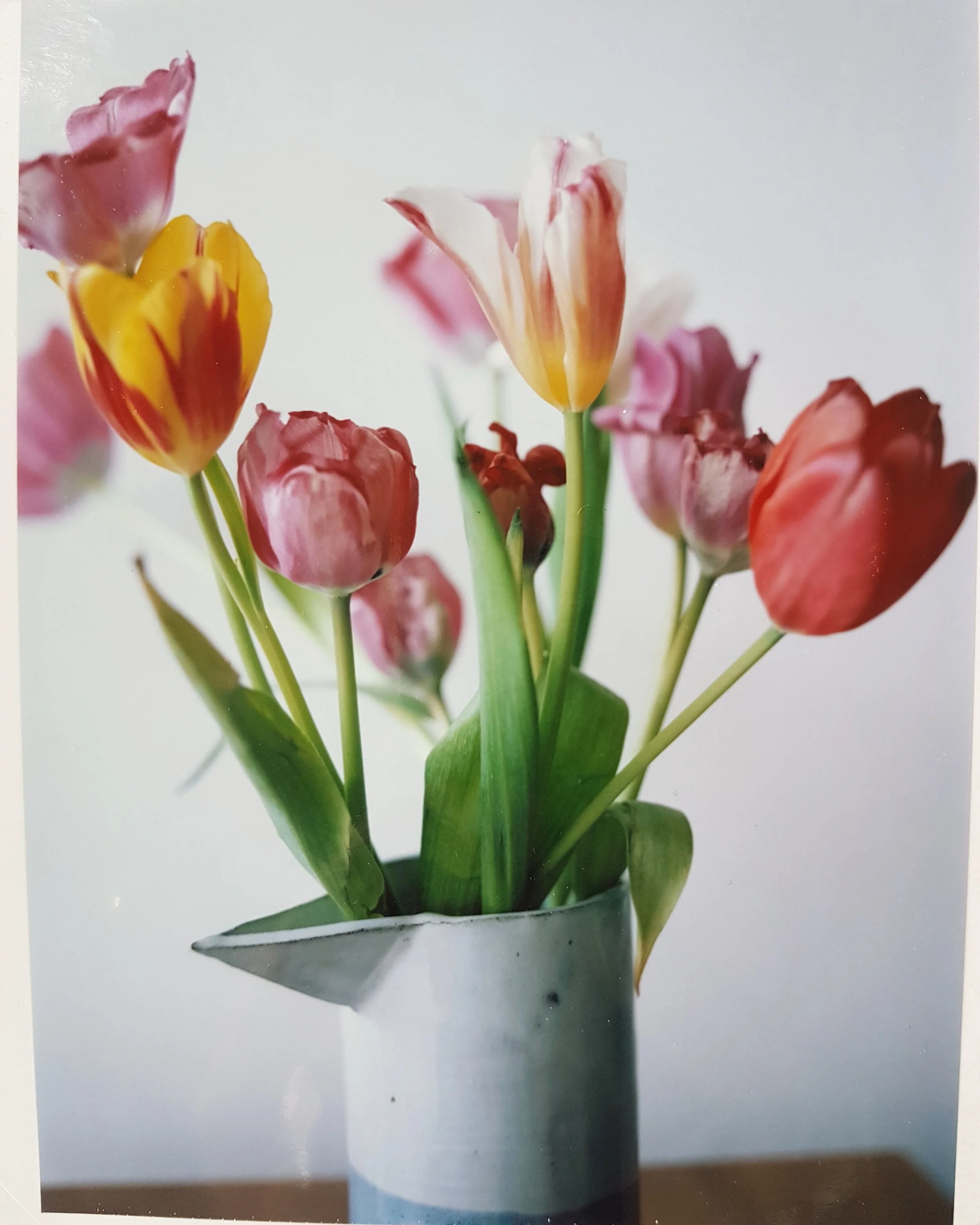 flowers for feb 2.jpg