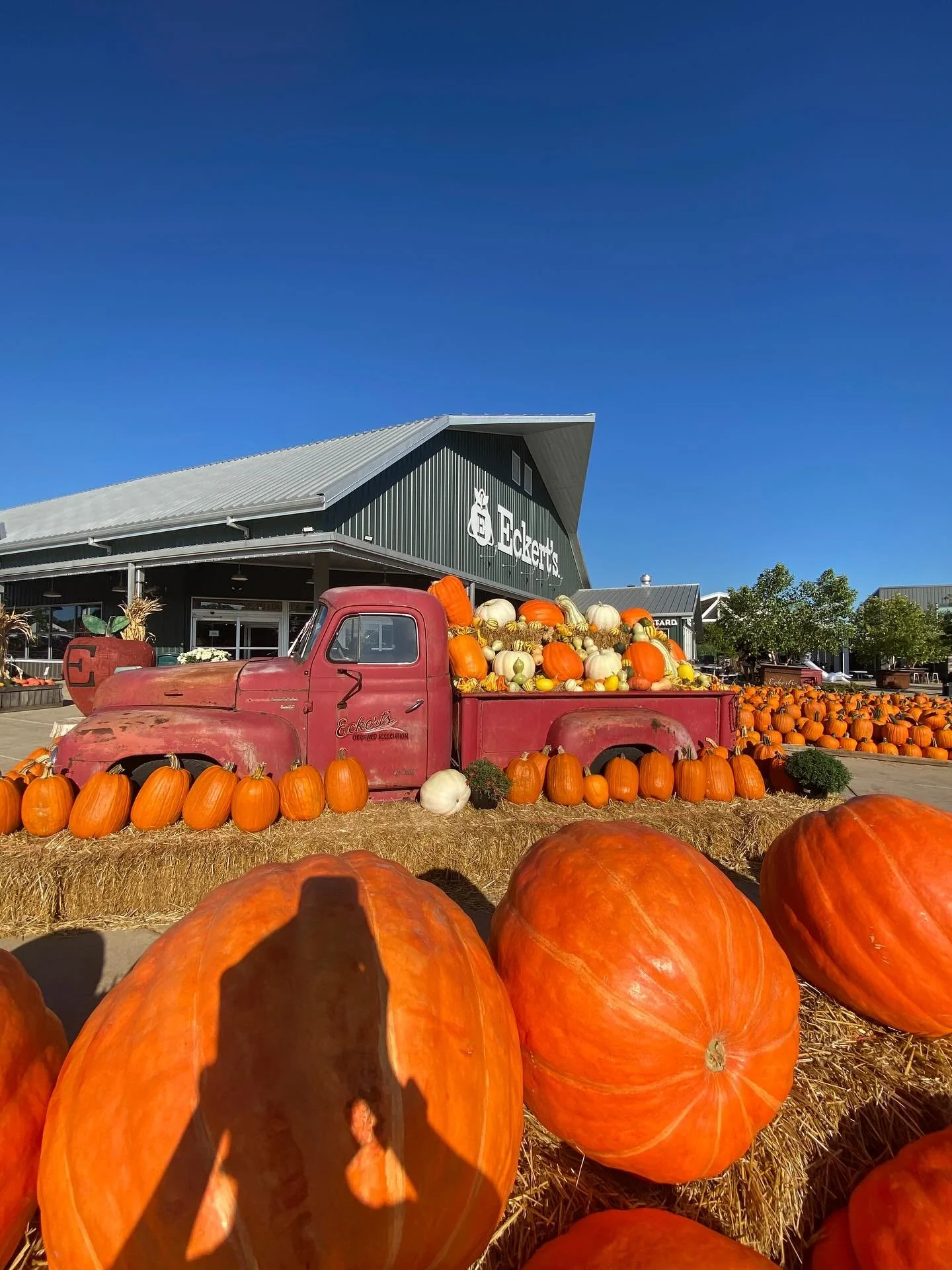 Happy October! One of my favorite months thanks to all the fun things:
🎃 Pumpkin patching
🍎 Apple picking
🧙 And all things Halloween&hellip; Minus terrifying clowns. 🤡 Hard pass! 😂

Chain saw guys don&rsquo;t phase me, but I&rsquo;ll avoid a chi