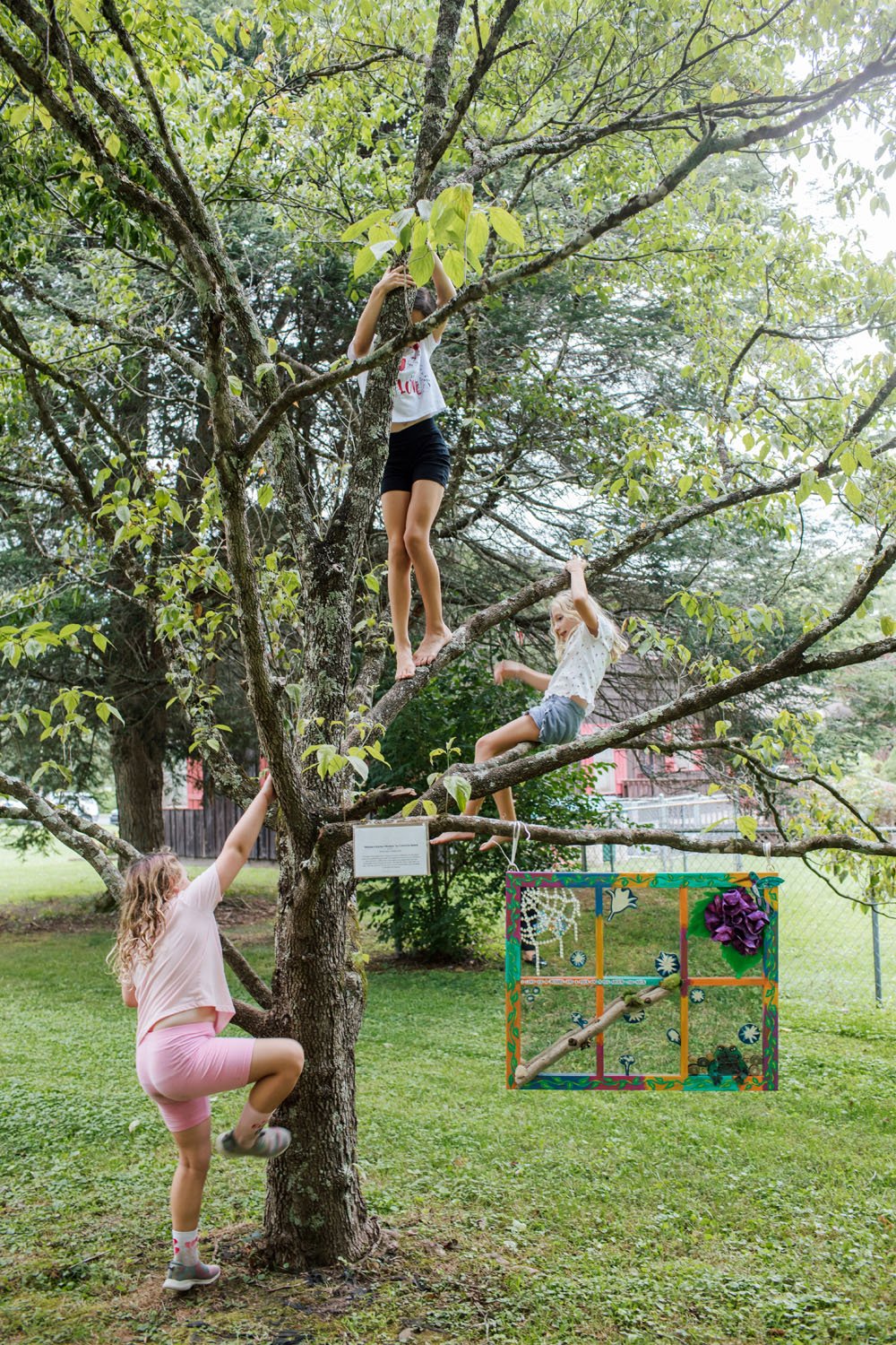 Children climb the tree holding Catherine Ballew's outdoor installation.