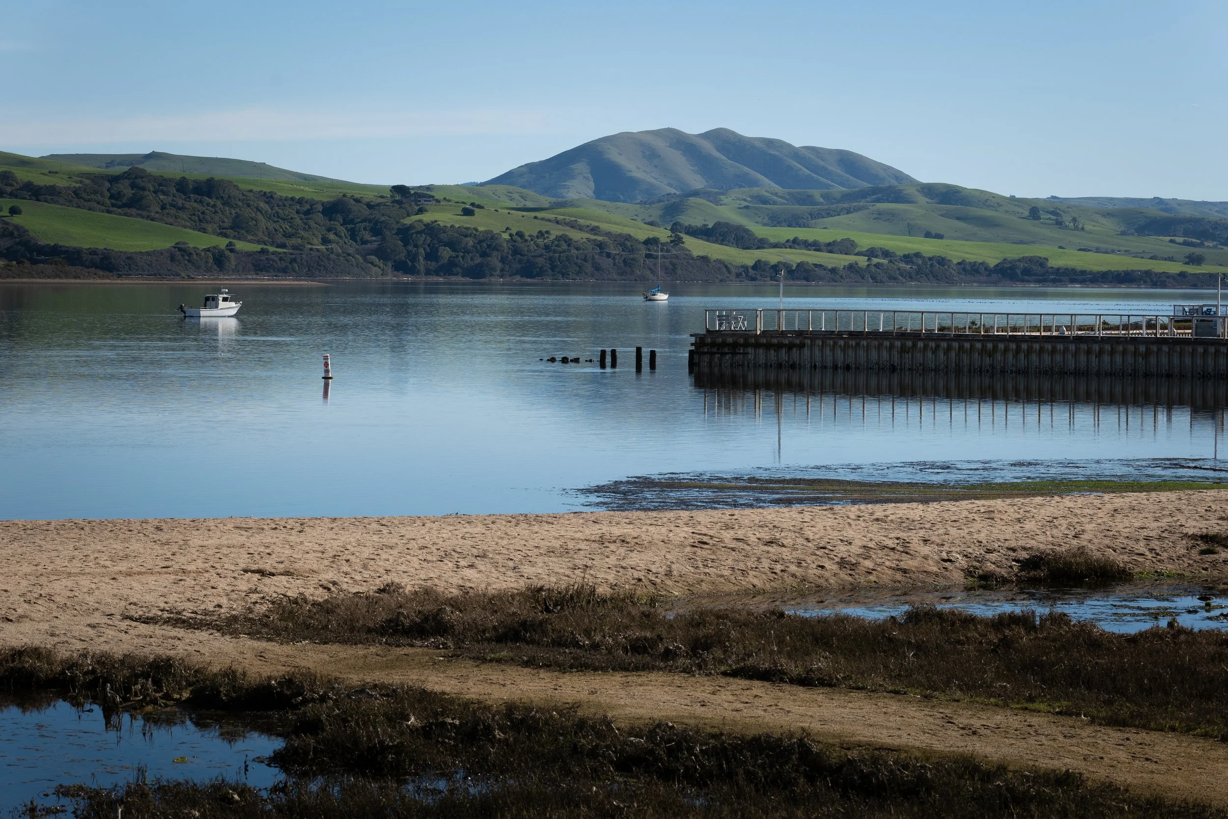 tomales bay.jpg